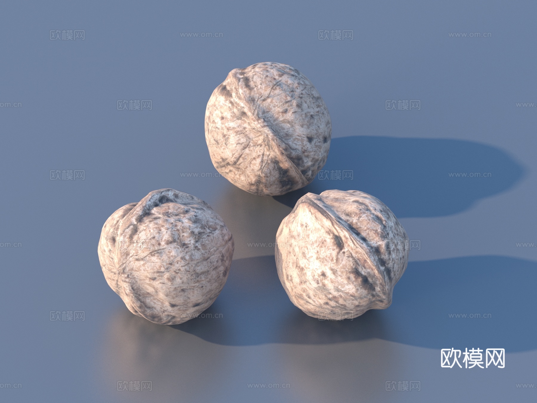 核桃 干果3d模型