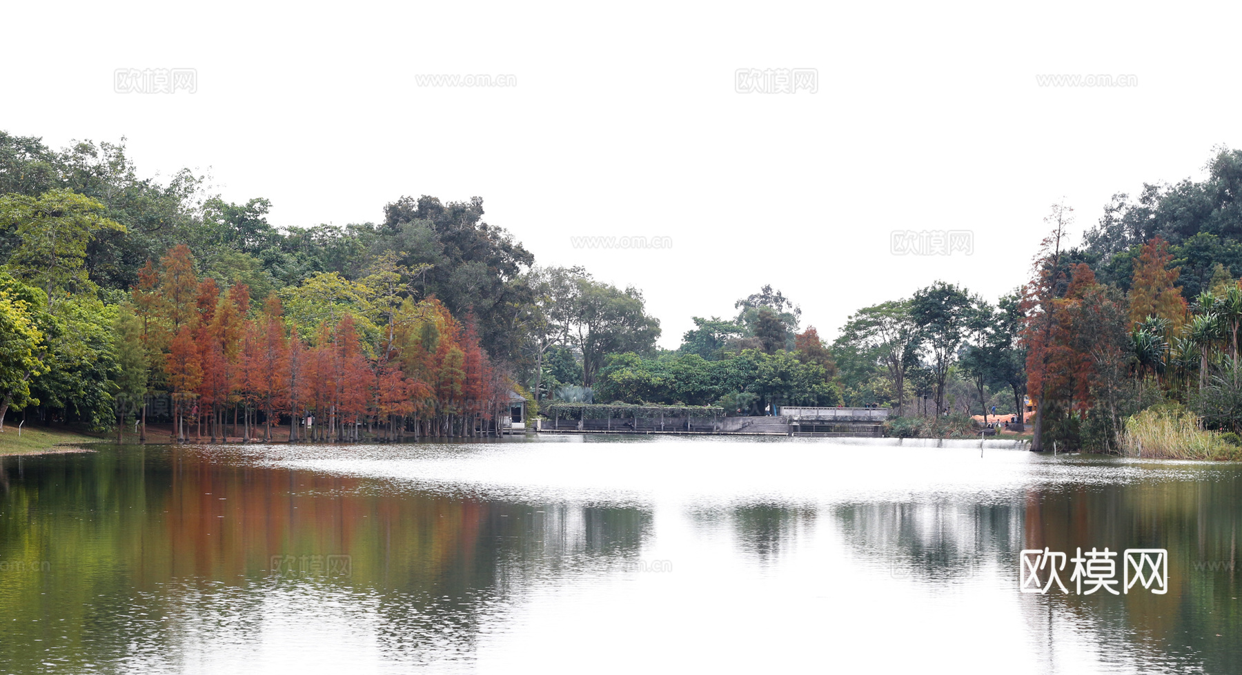 城市公园外景