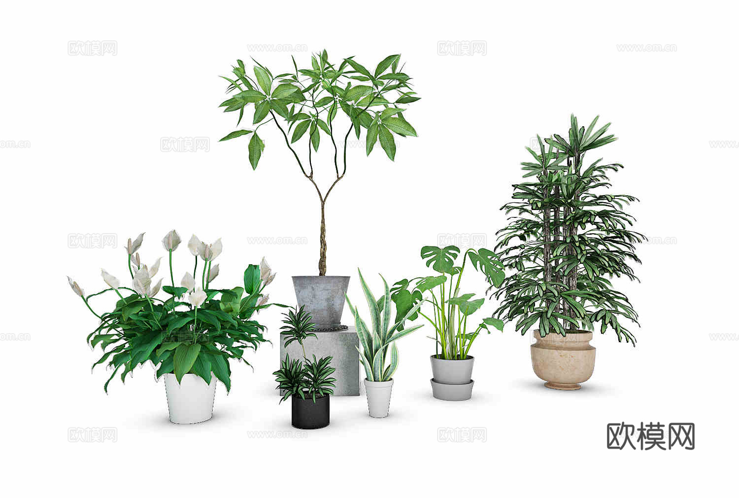现代绿植盆栽植物组合3d模型