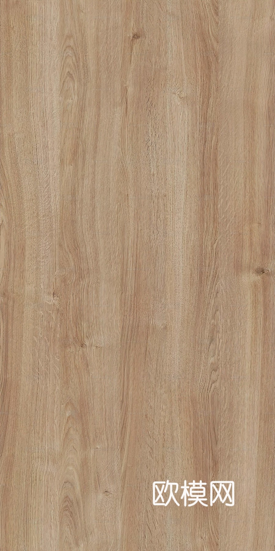 无缝橡木木纹下载