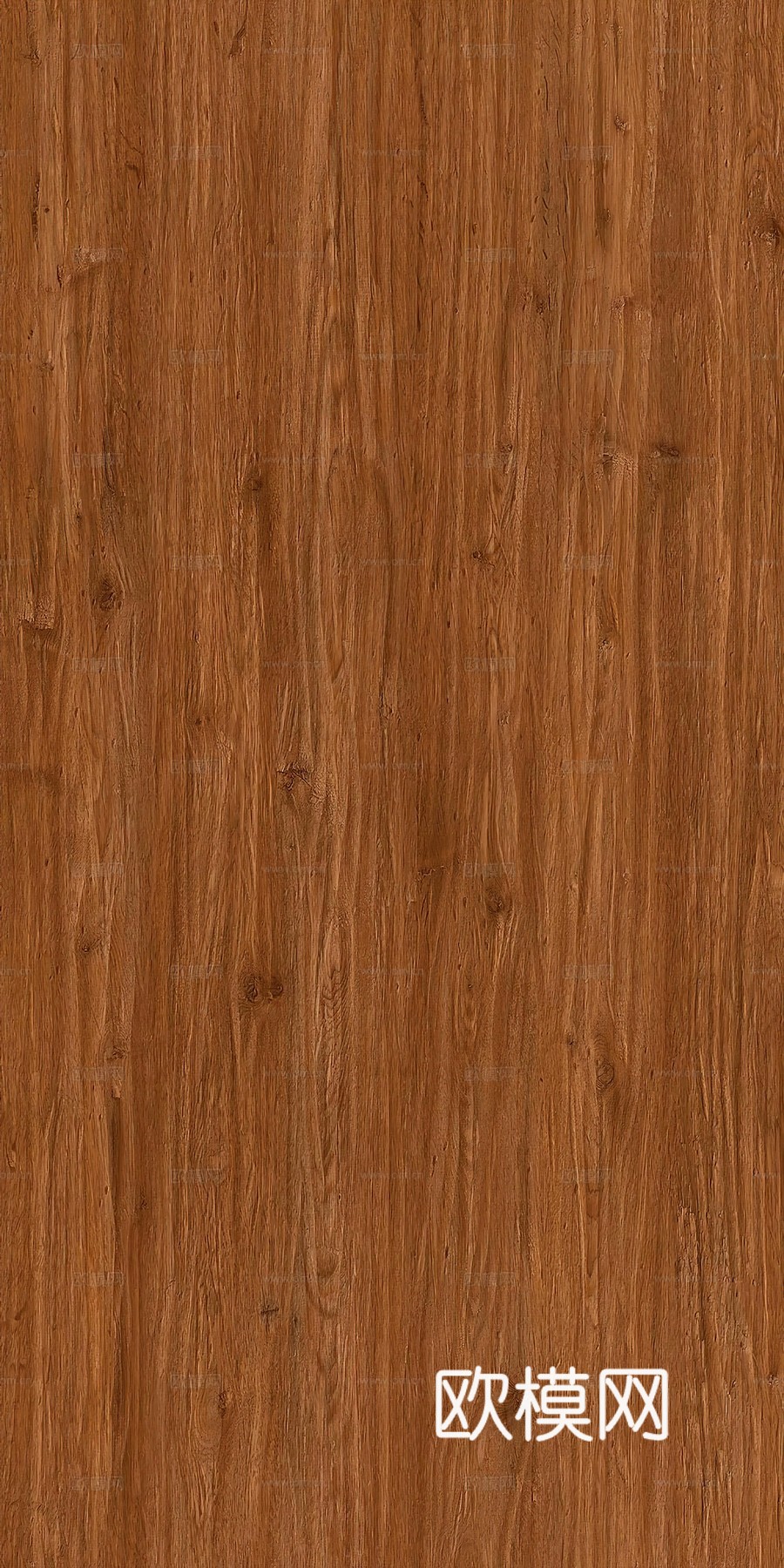 无缝橡木木纹下载