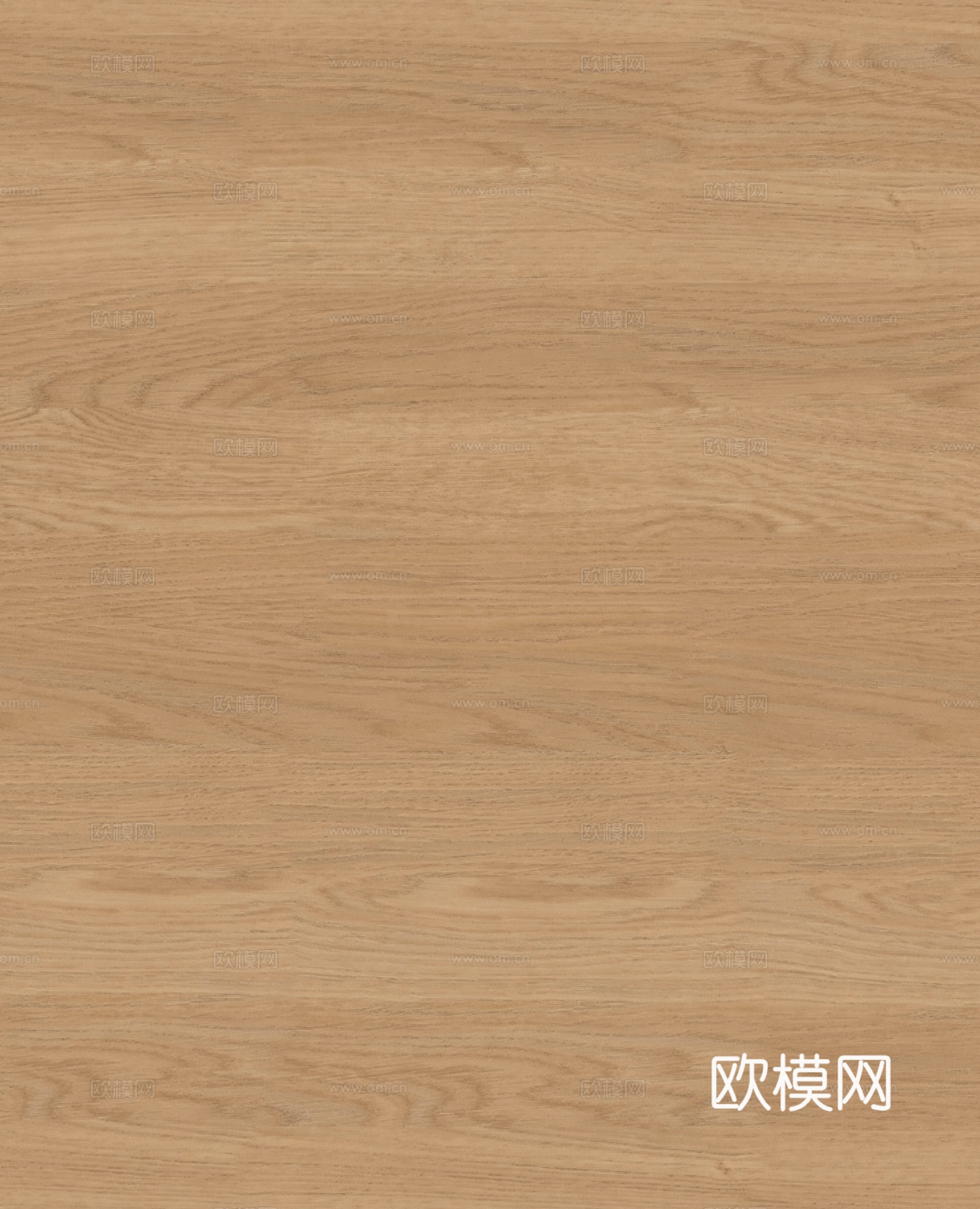 浅色橡木木纹