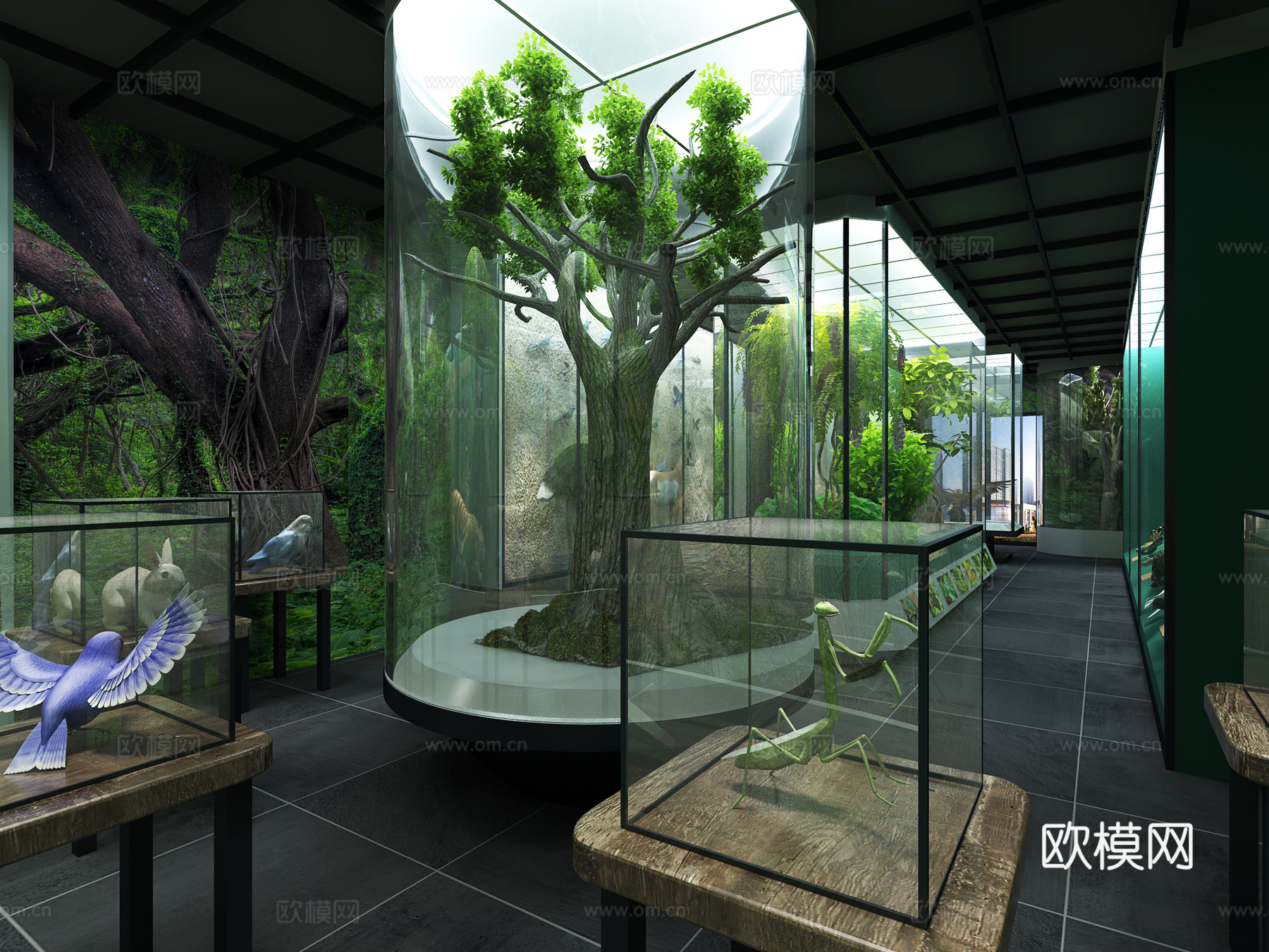 东南亚动物植物展厅3d模型