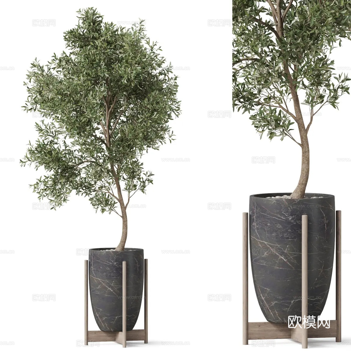 现代绿植 盆栽 植物3d模型