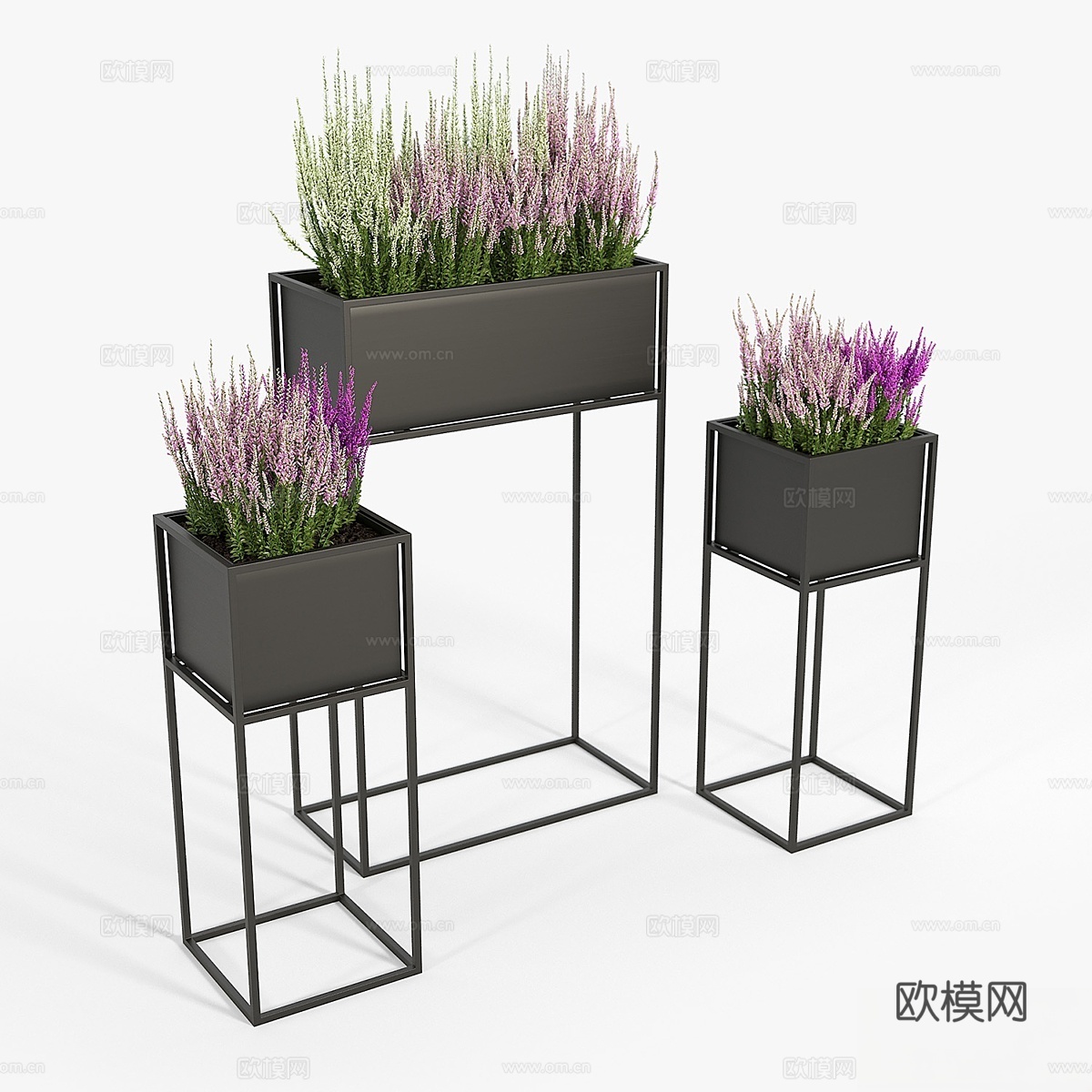 石南花3d模型