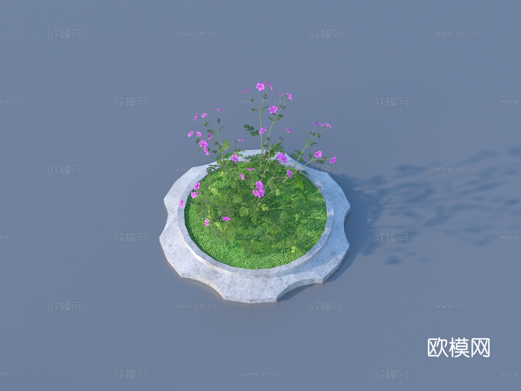 树池 花池 景观 植物3d模型下载