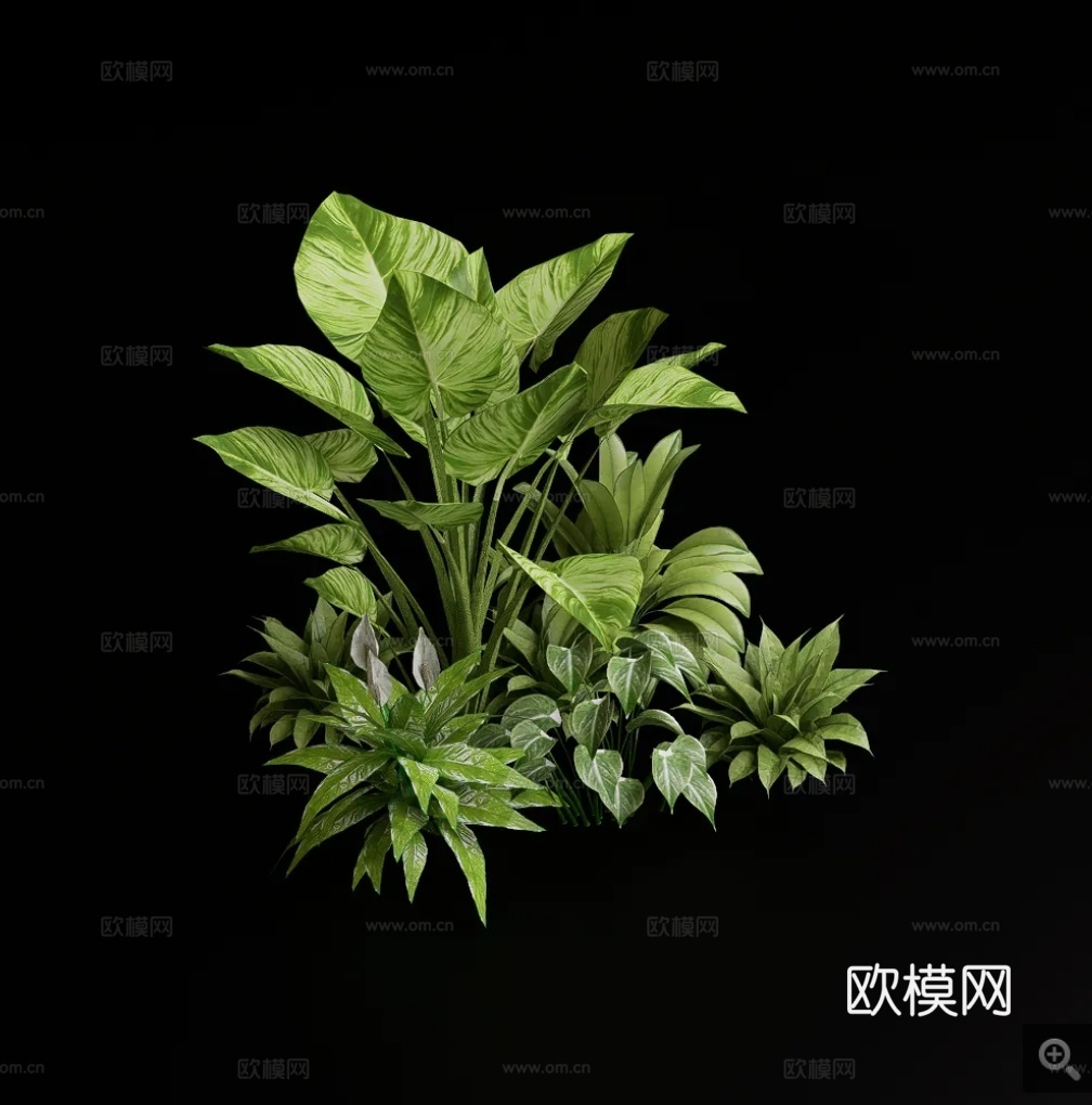 流行花草组合su模型
