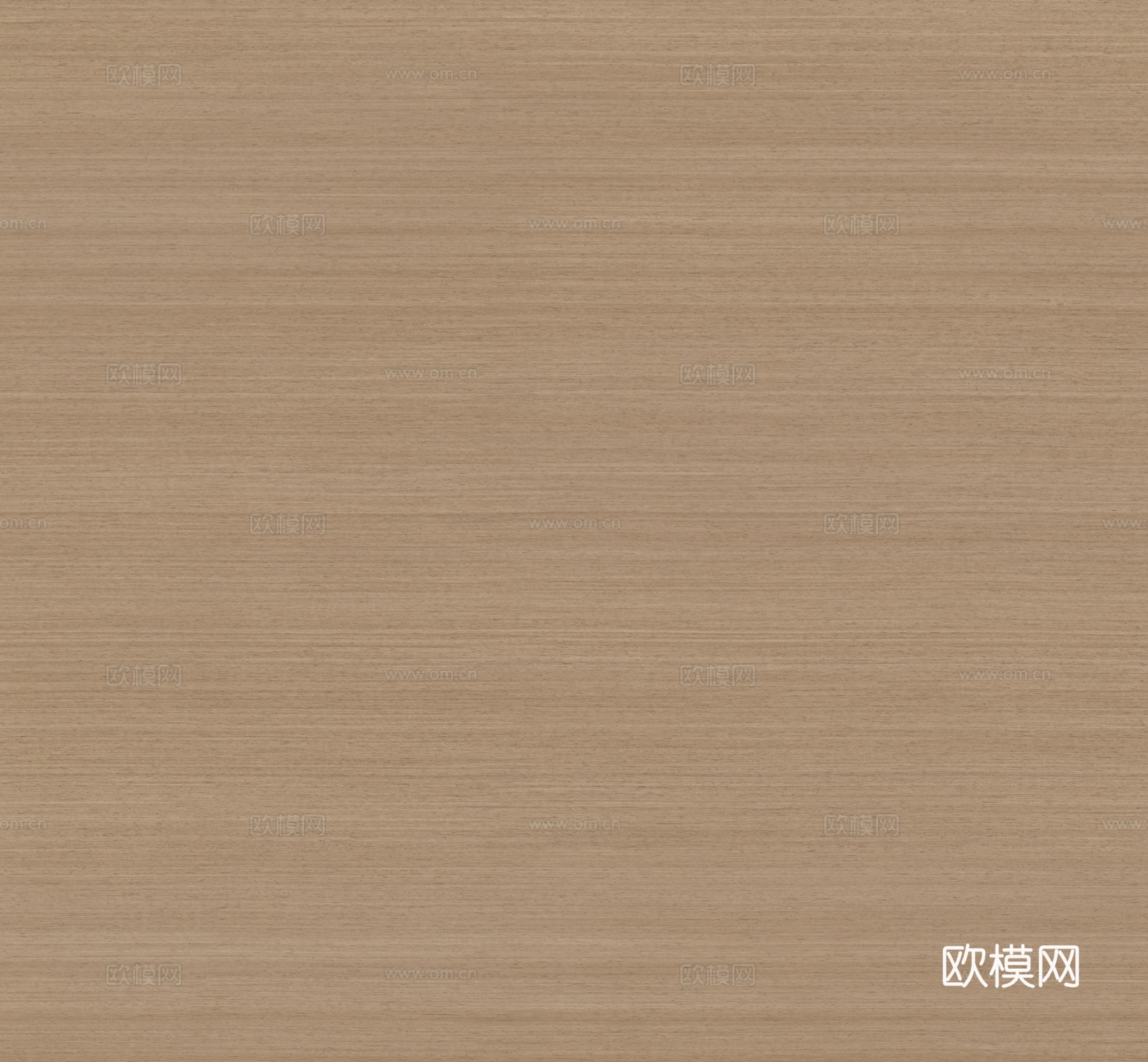 尤加利木纹