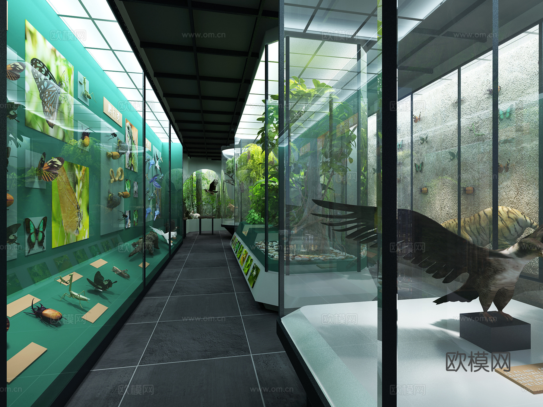 东南亚动物植物展厅3d模型
