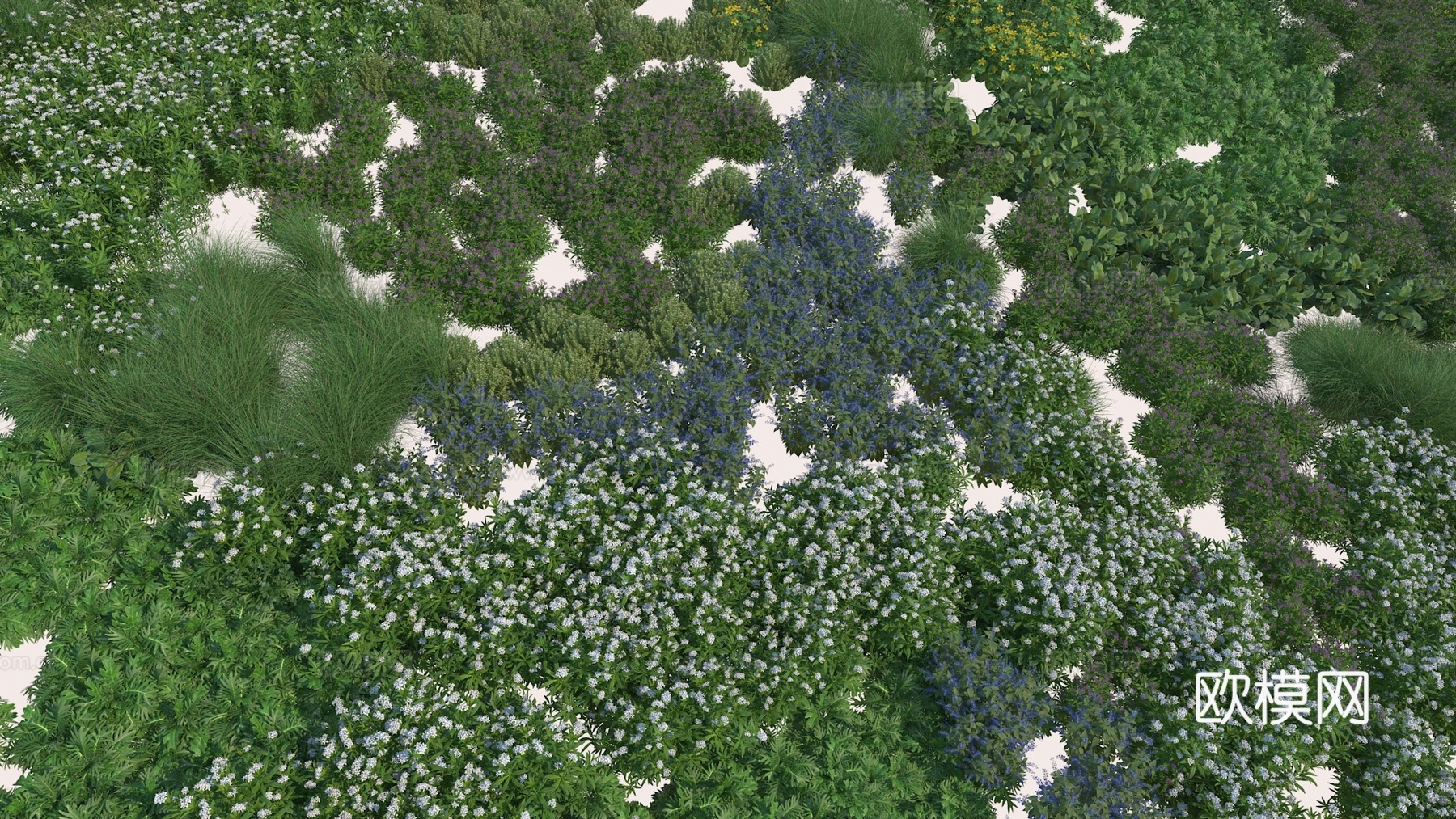 植物 绿植 花草 花卉 灌木3d模型