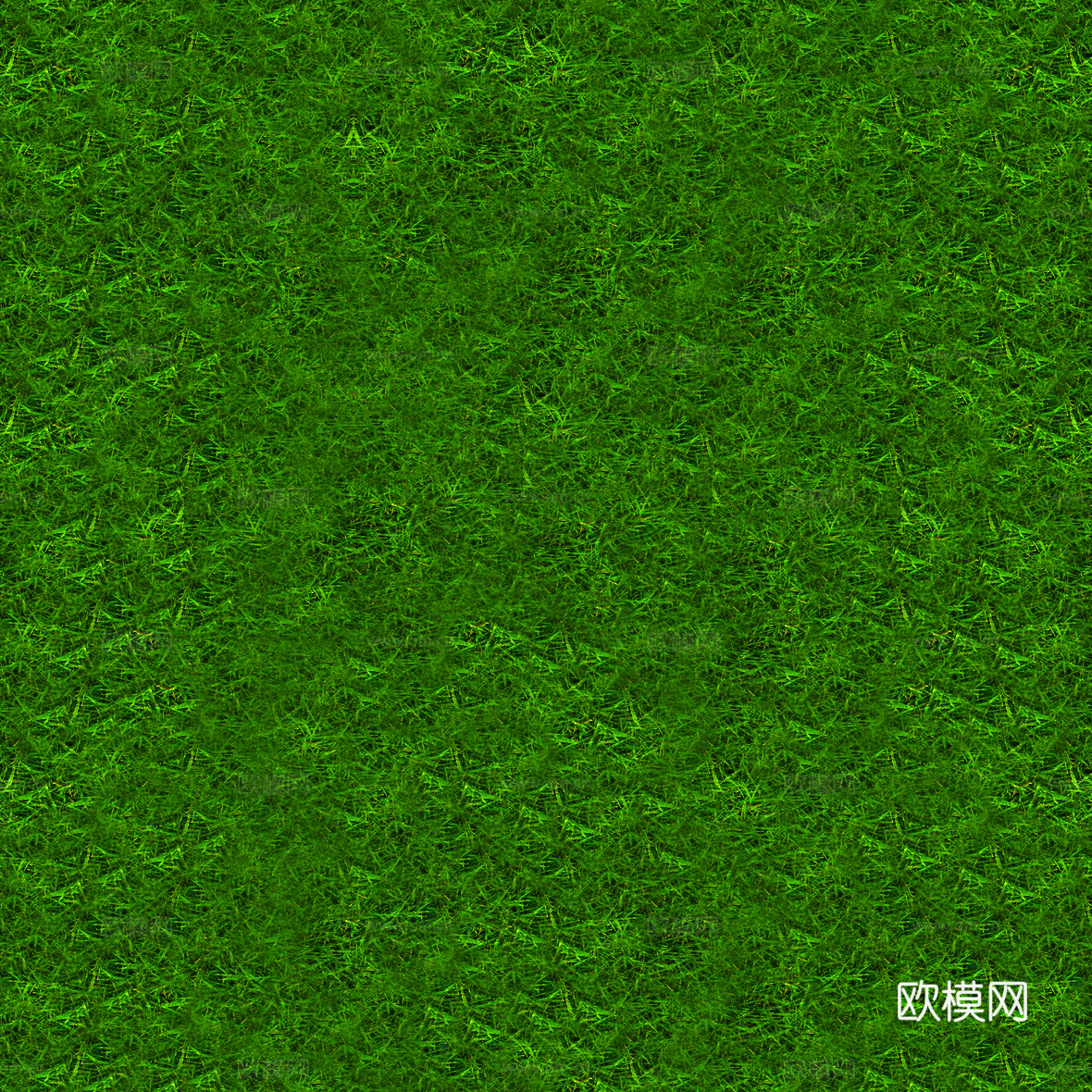 草地