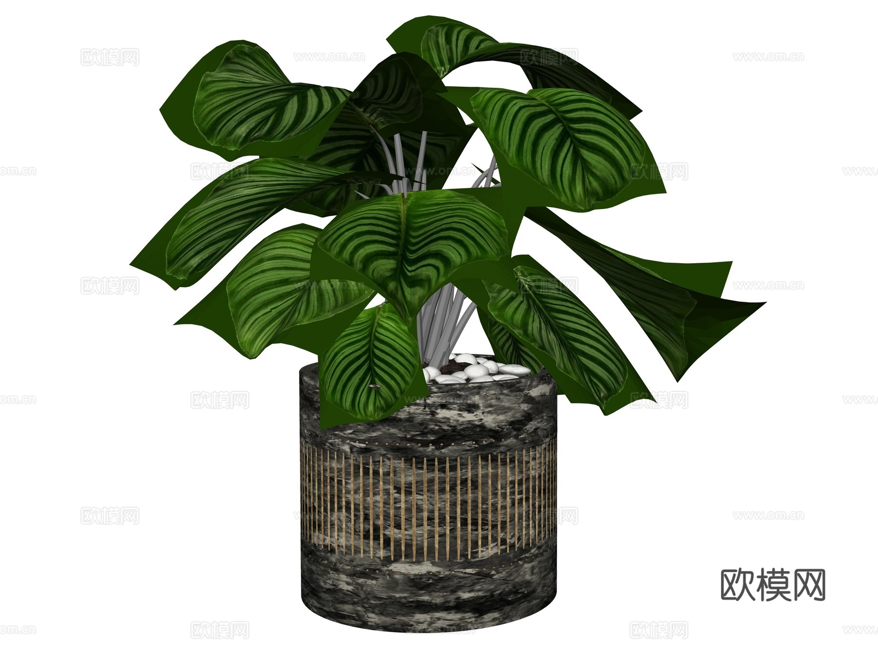 现代绿植盆栽植物su模型