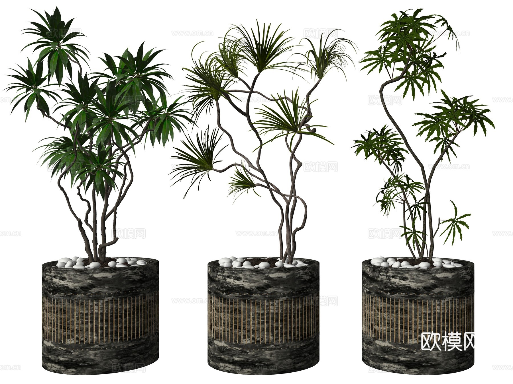 现代绿植盆栽植物su模型