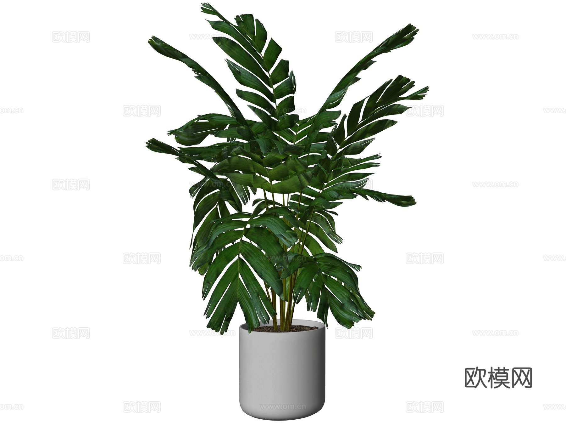 现代绿植盆栽植物su模型