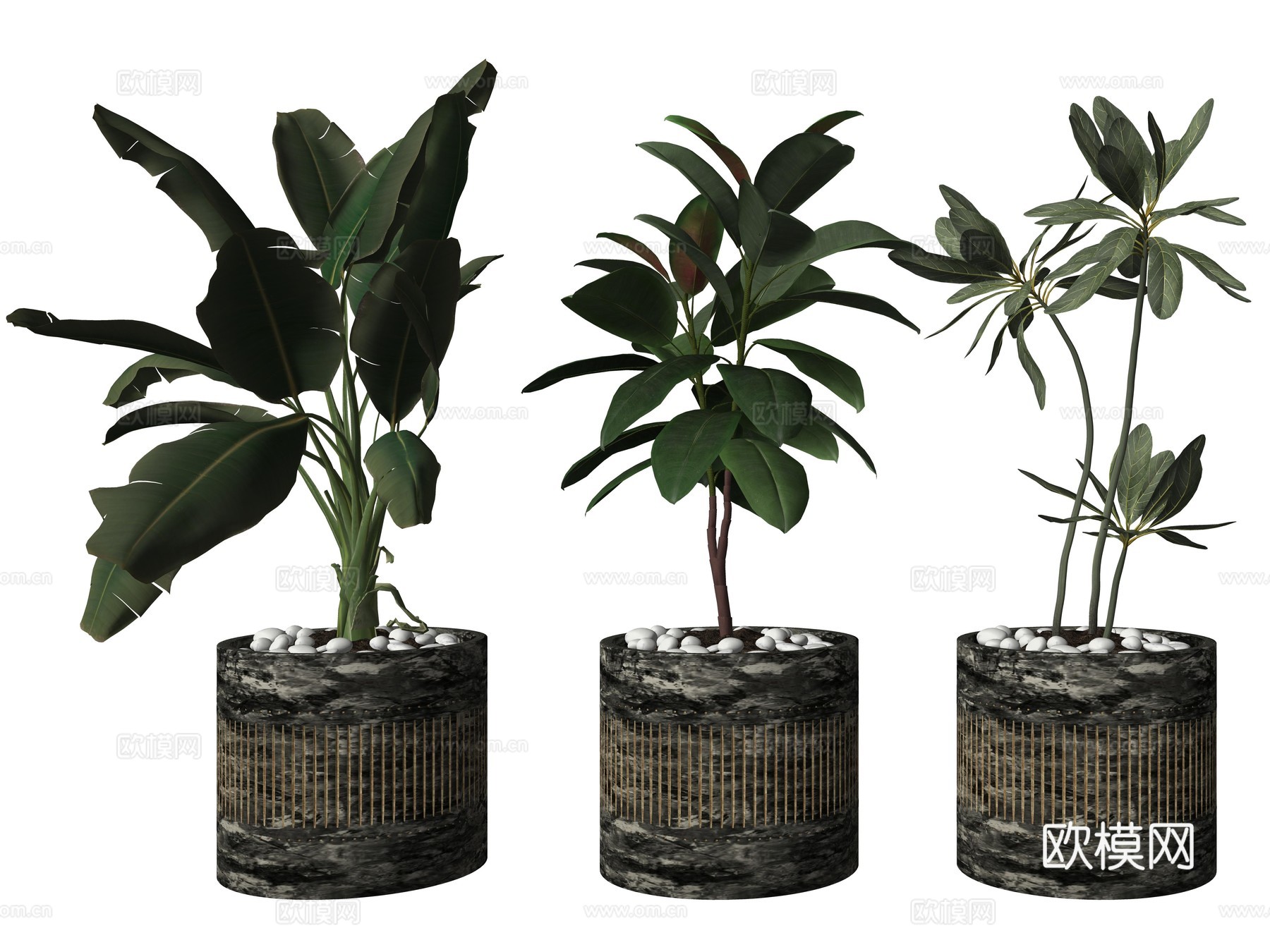 现代绿植盆栽植物su模型