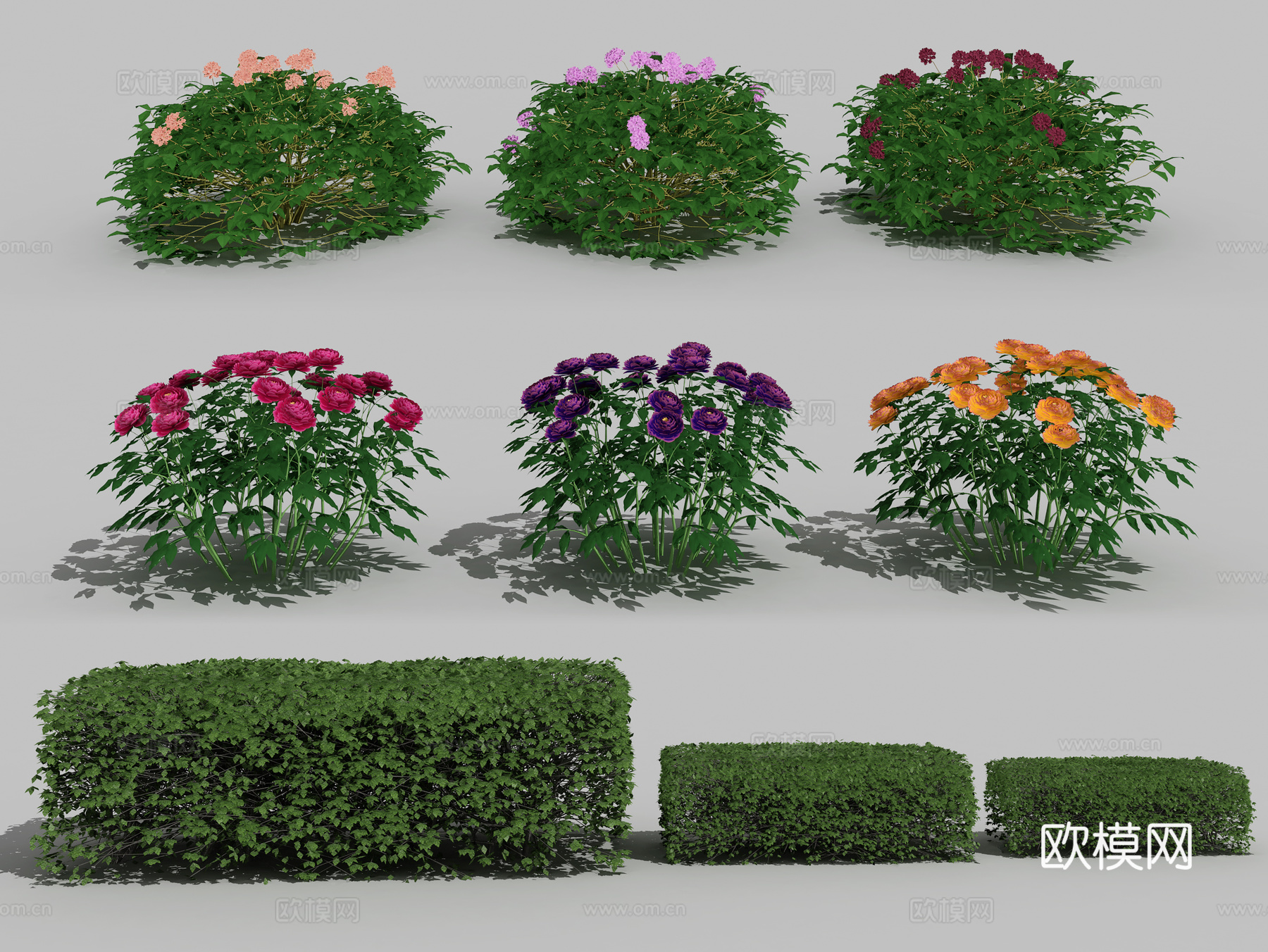 现代绿篱灌木花草植物3d模型