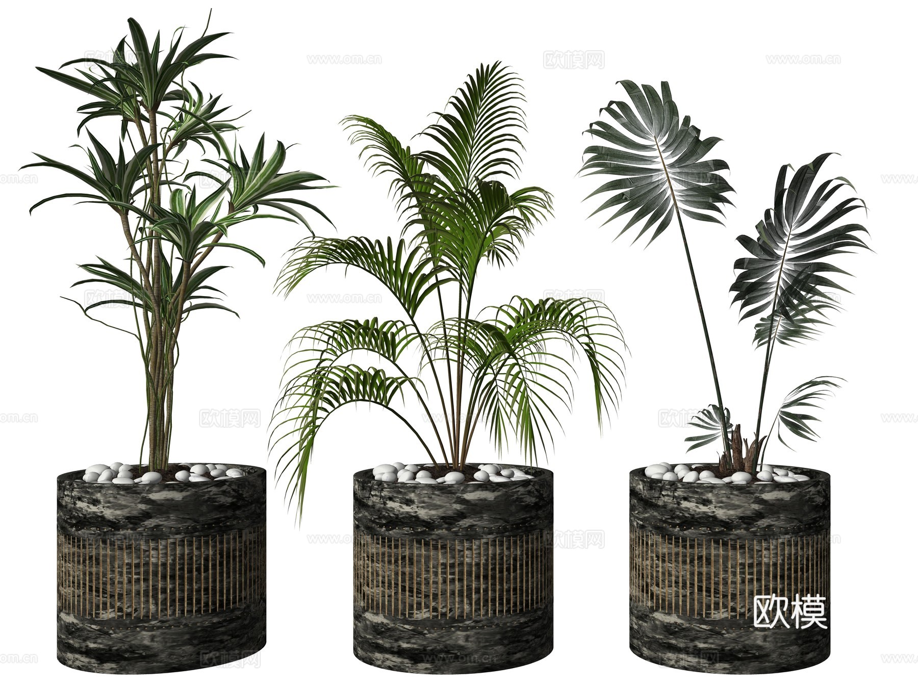 现代绿植盆栽植物su模型
