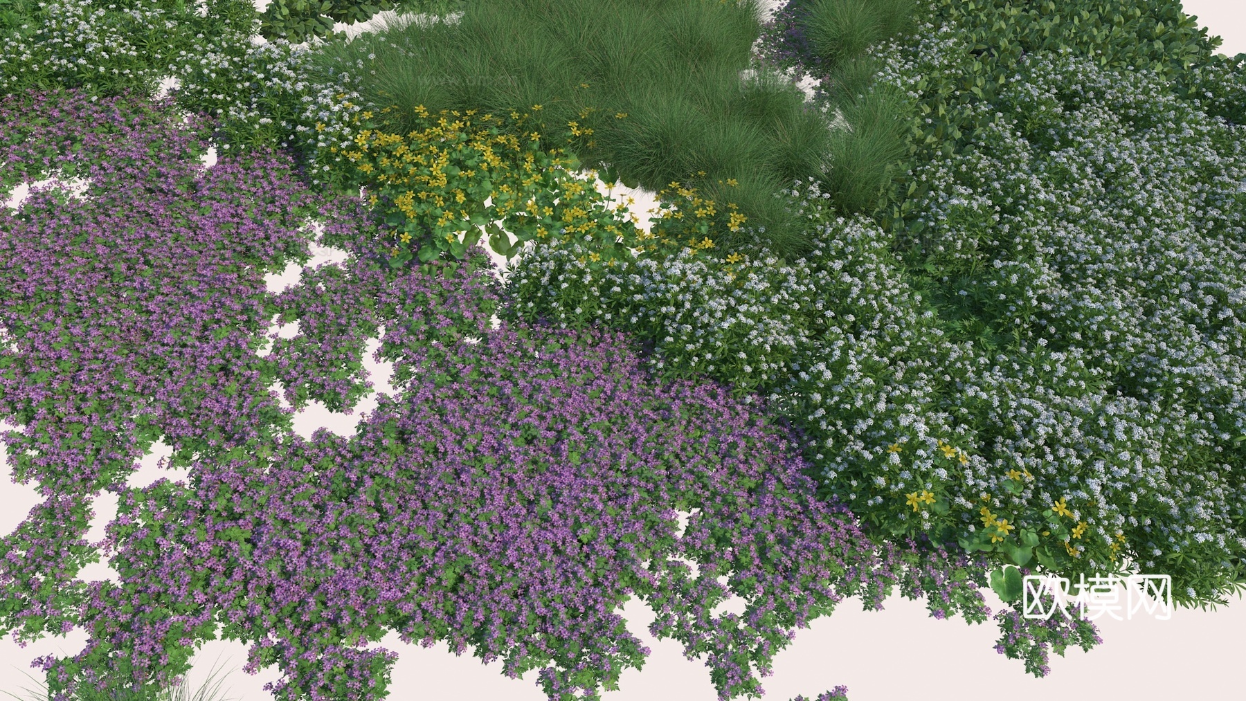 植物 绿植 花草 花卉 灌木3d模型