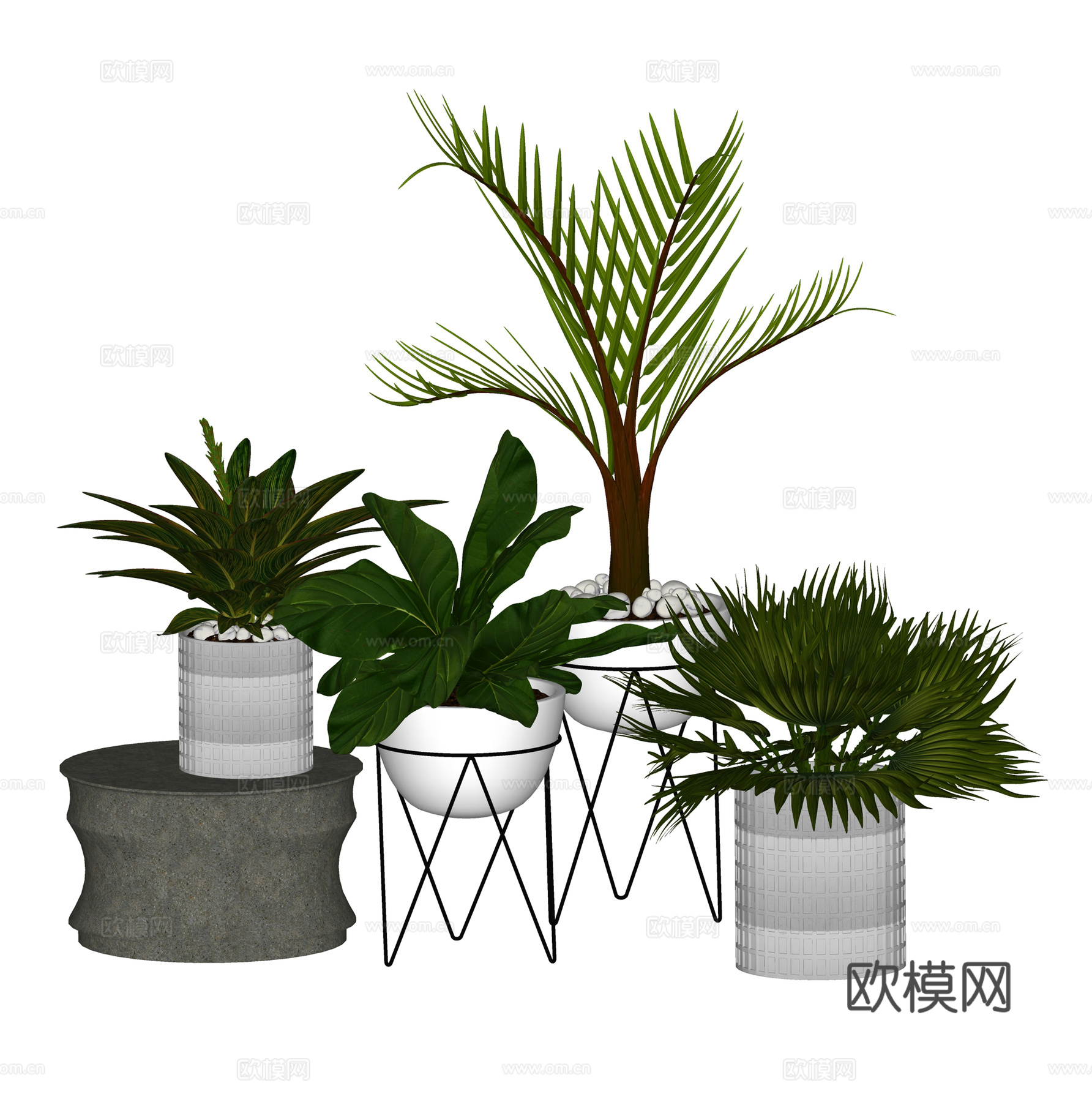 现代盆栽盆景 绿植盆栽   植物花草组合su模型
