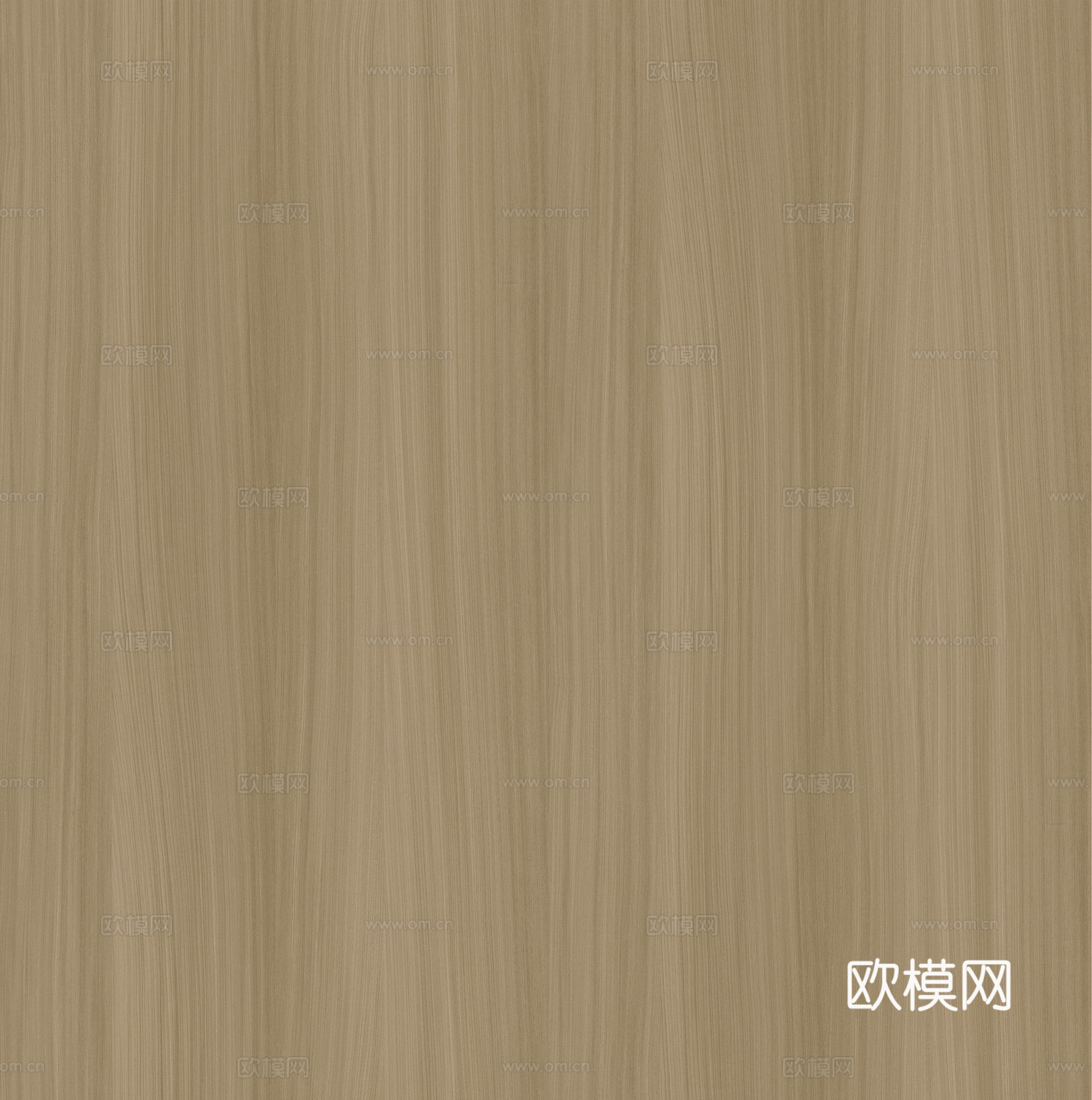 直纹