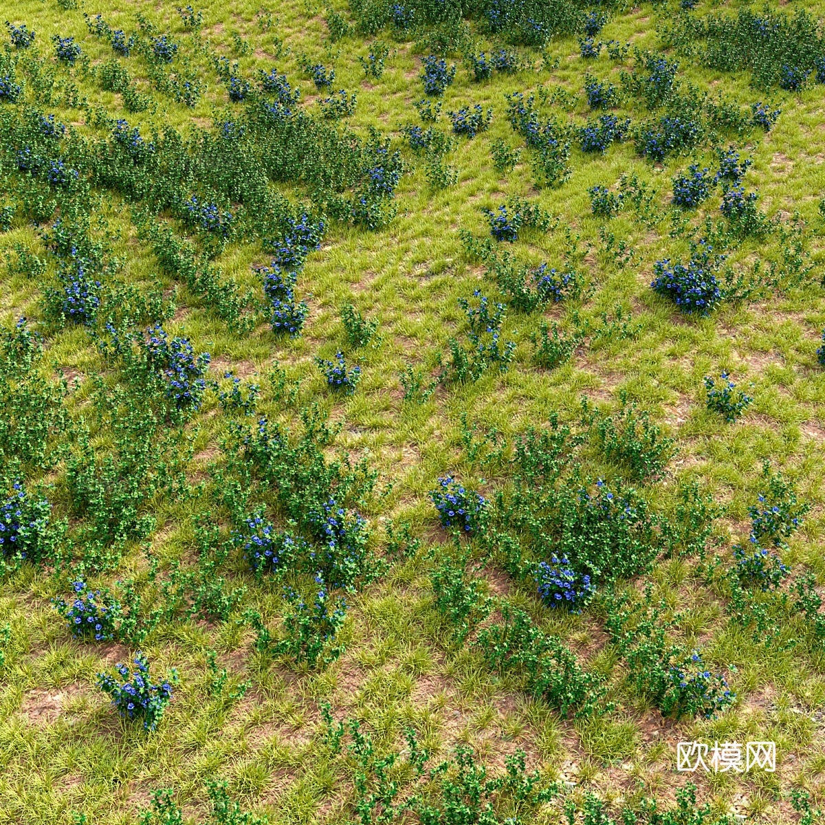 Meadow 23d模型