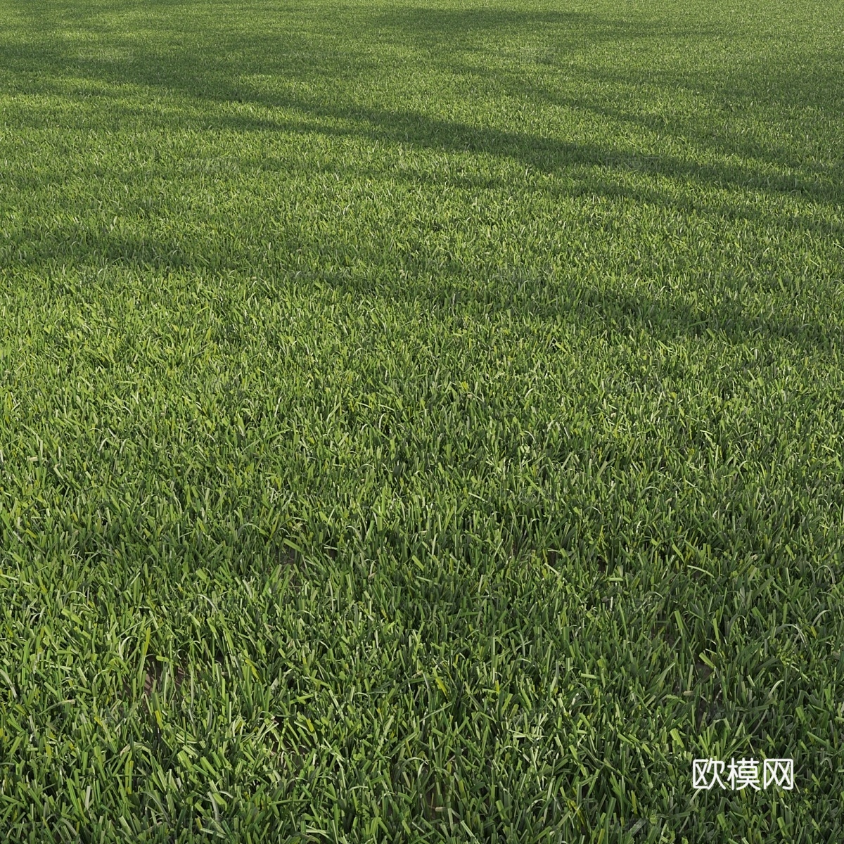 草坪，割草 #23d模型
