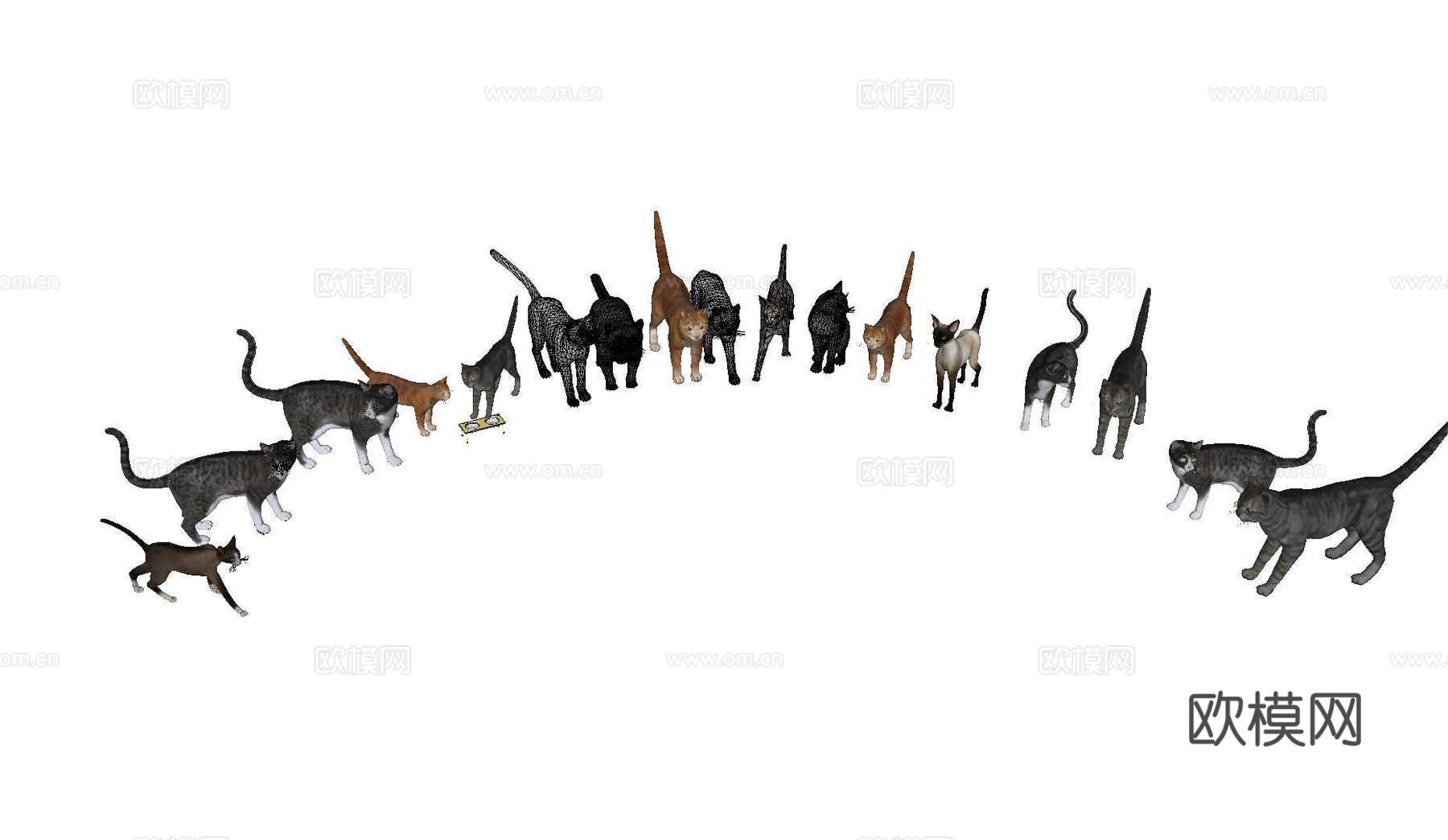 猫 宠物猫 猫咪组合su模型