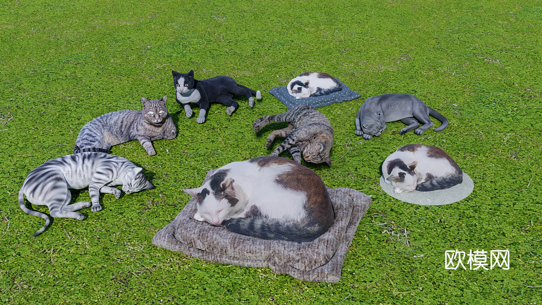 猫 宠物猫 猫咪组合su模型