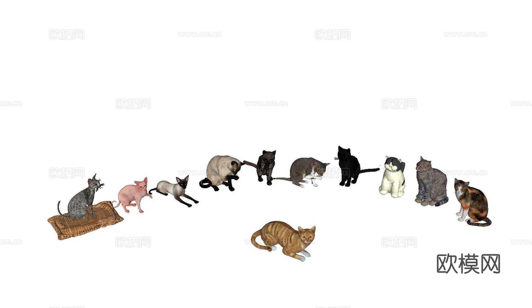 猫 宠物猫 猫咪组合su模型