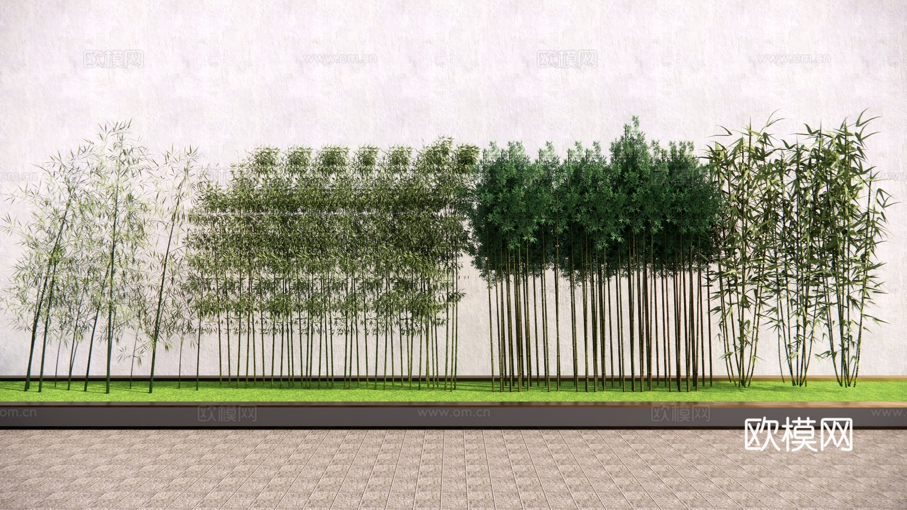 竹子 树池乔木 行道树 造型树su模型
