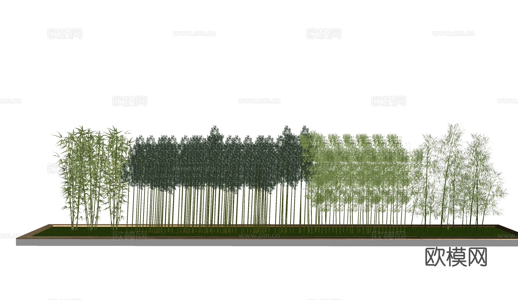 竹子 树池乔木 行道树 造型树su模型