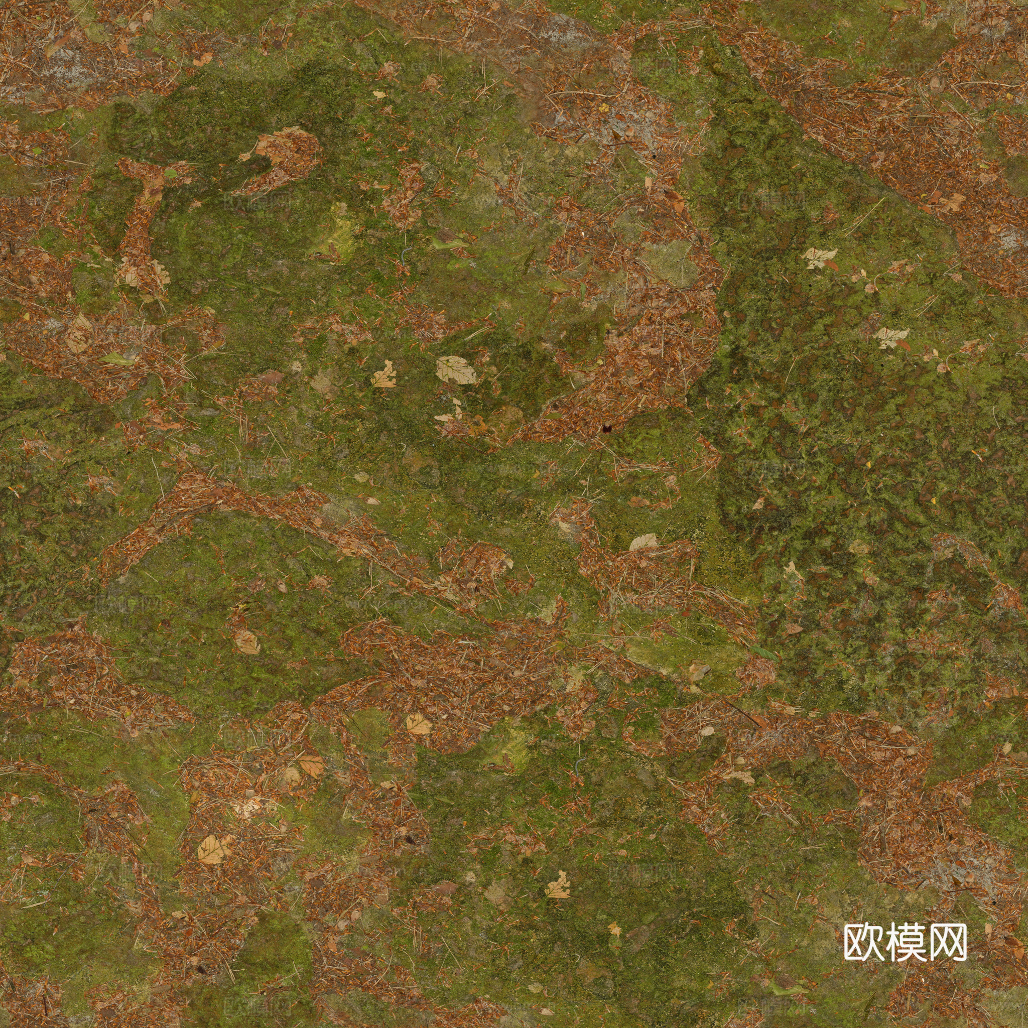 青苔地泥地草地土地自然地面地表 PBR材质贴图 2k