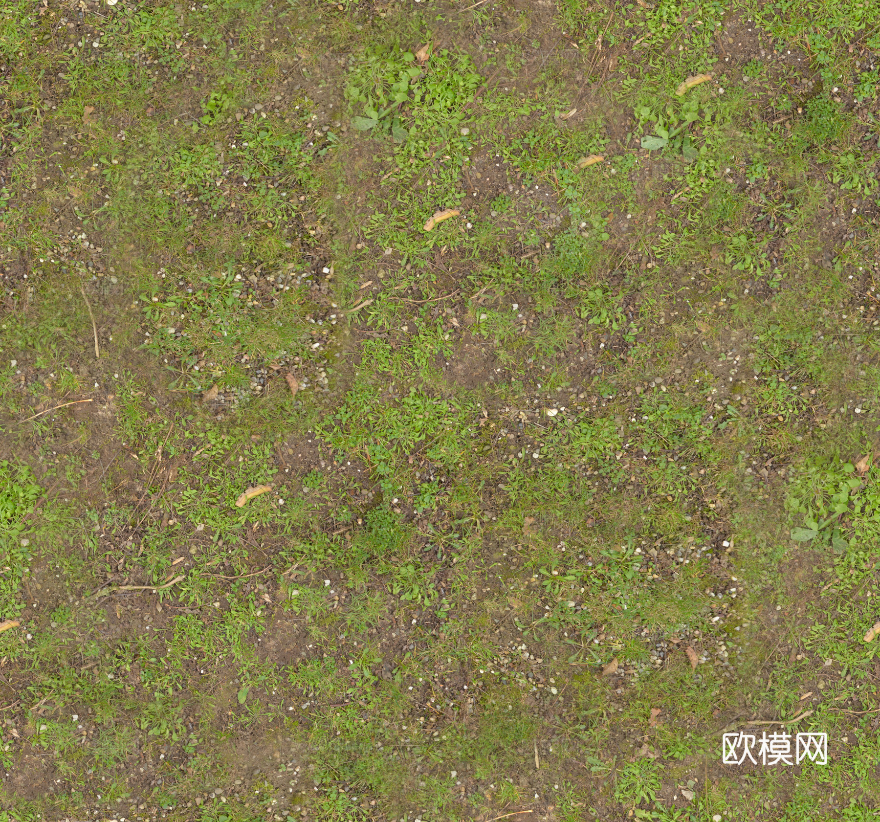泥地草地土地自然地面 PBR材质贴图 2K