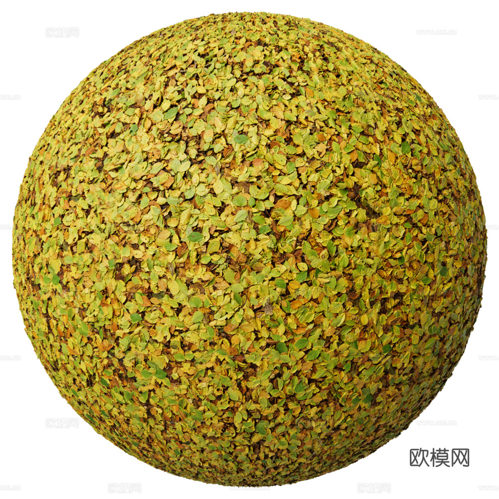 落叶泥地草地土地自然地面地表 PBR材质贴图 1K