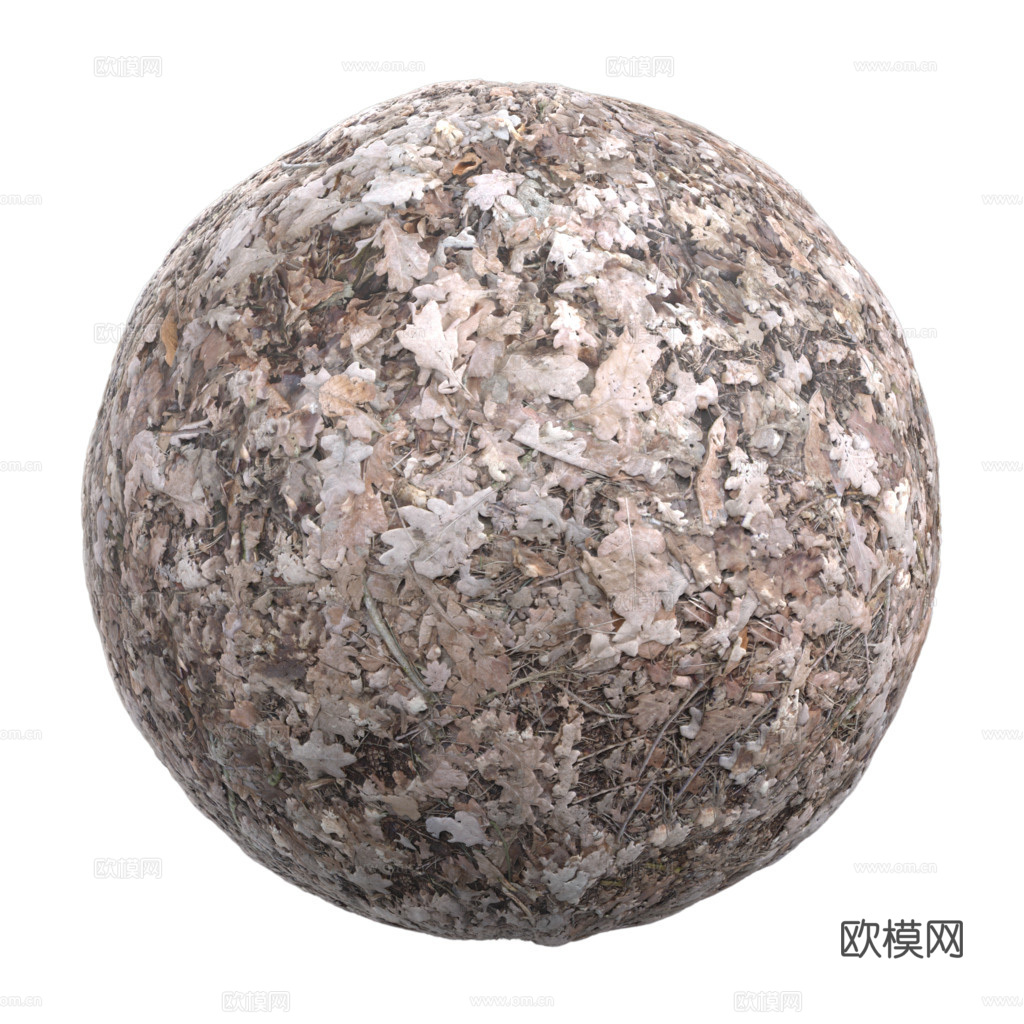 枯叶地面泥地草地土地自然地面 PBR材质贴图 1K
