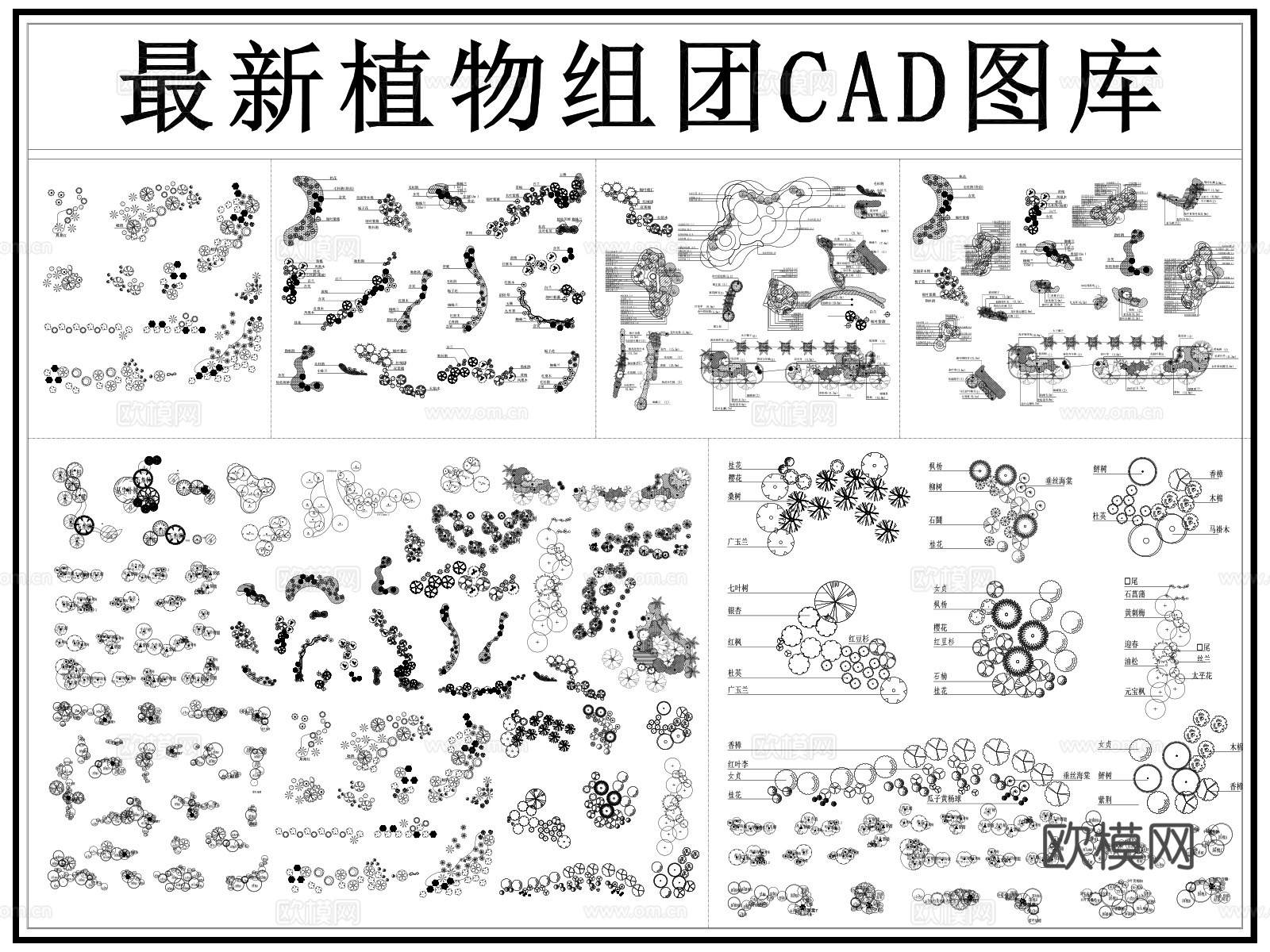 植物组团 植物配置 绿植 花镜组团 乔木 灌木 植物搭配cad施工图