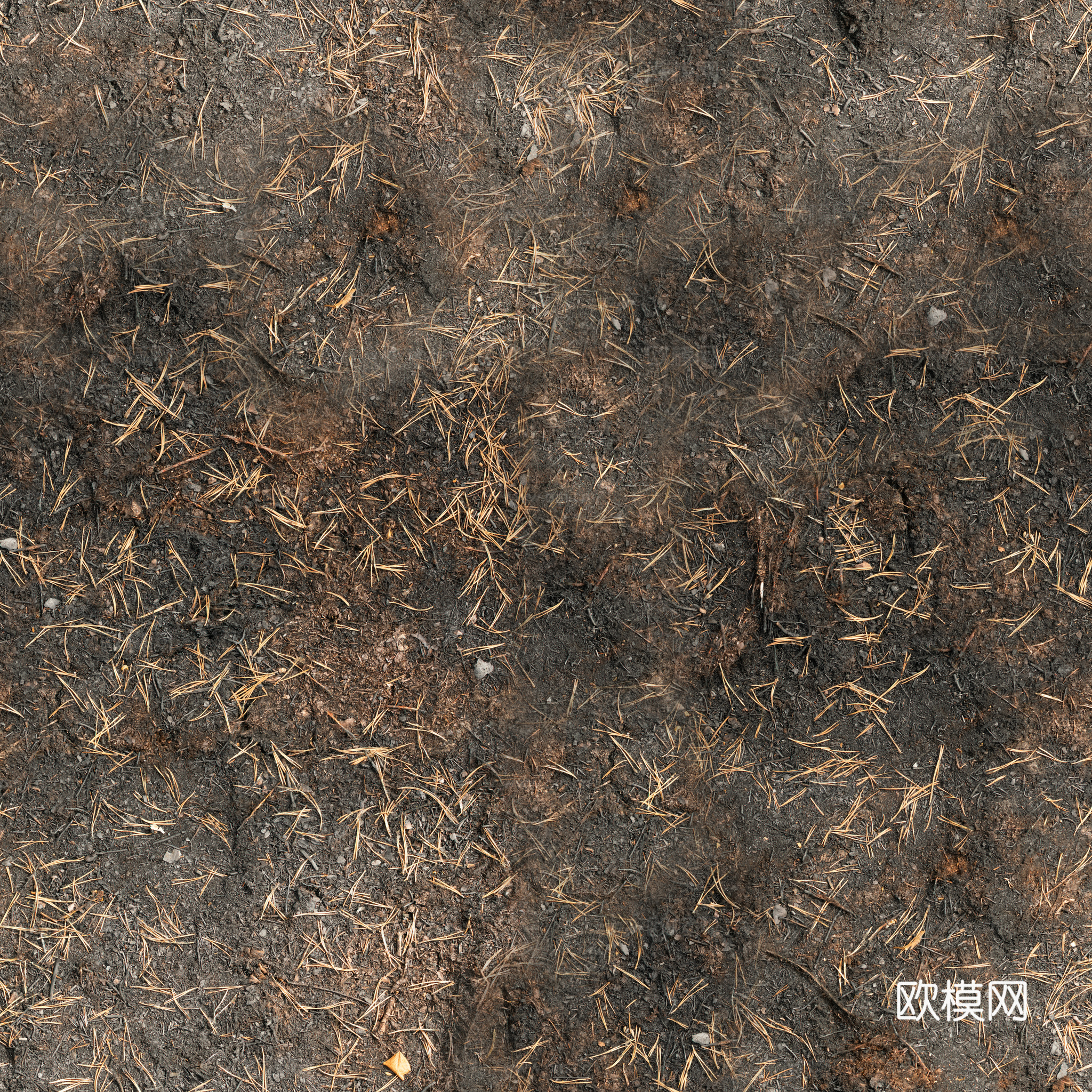 泥地草地土地自然地面地表 PBR材质贴图 2K