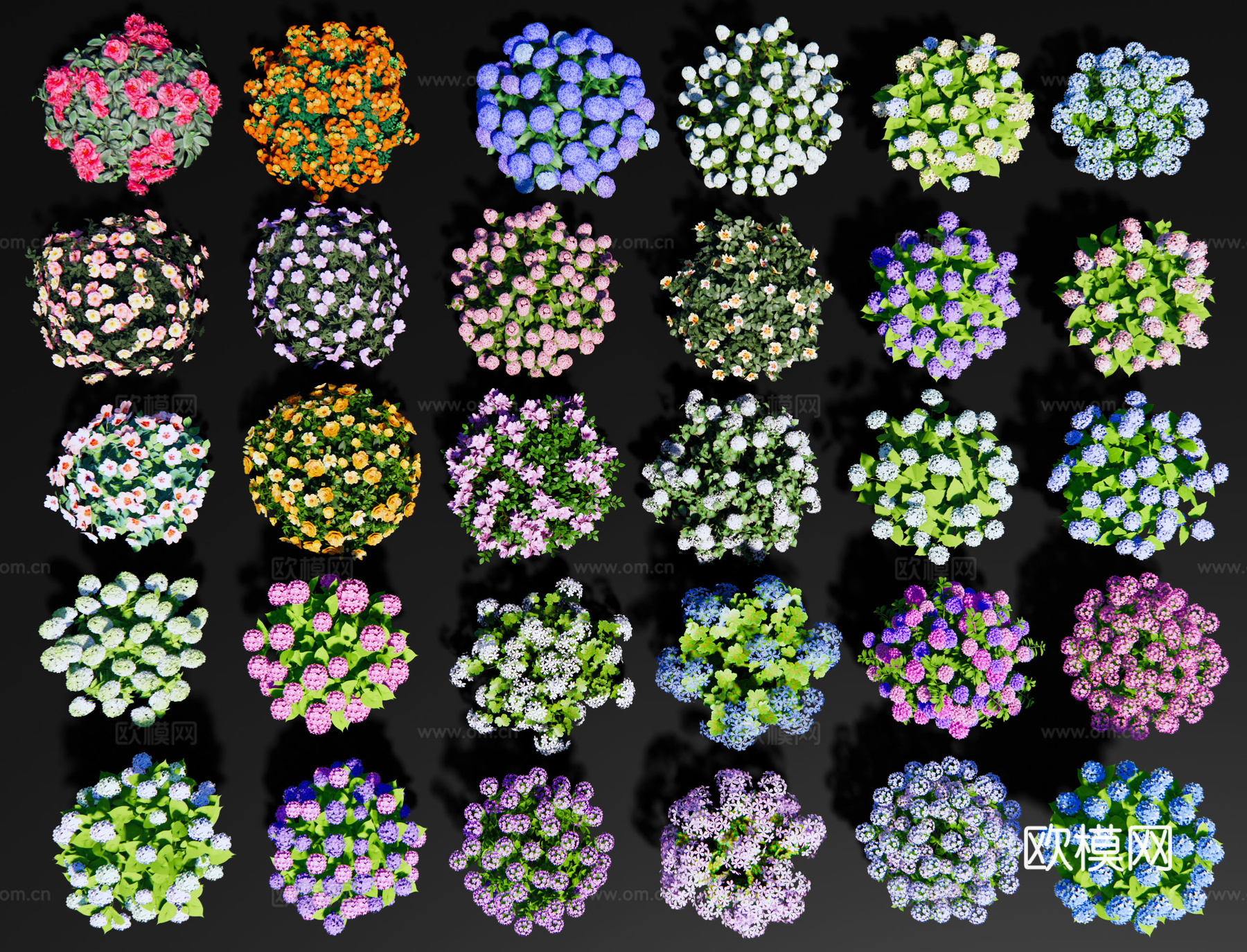 现代绣球花 球形花卉花草 植物花球花钵 景观花镜植物 绣球su模型