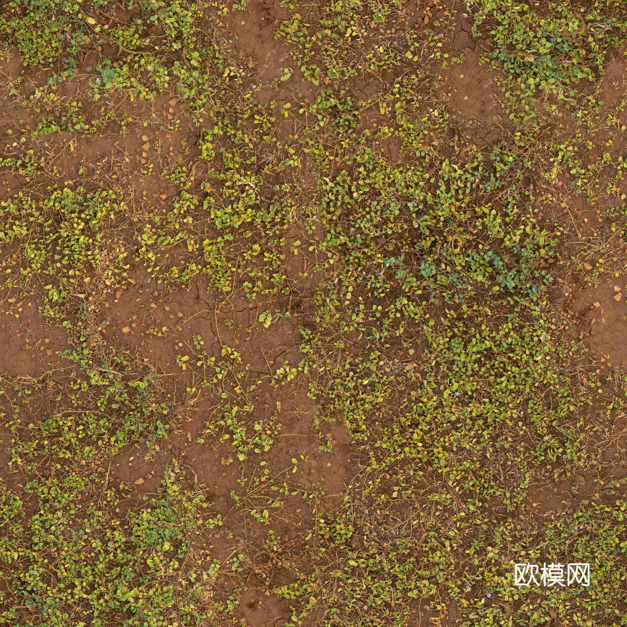 泥地草地土地自然地面地表 PBR材质贴图 2k
