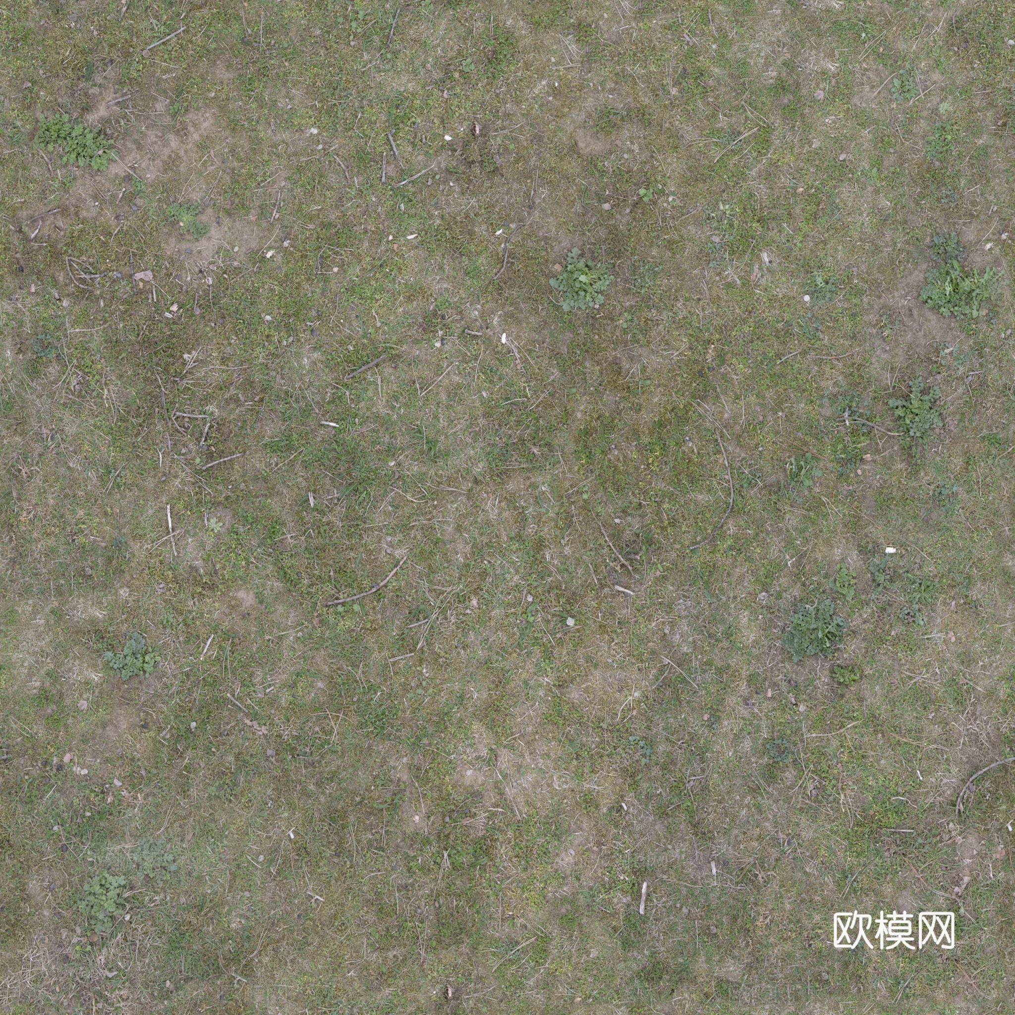 泥地草地土地自然地面地表 PBR材质贴图 2K