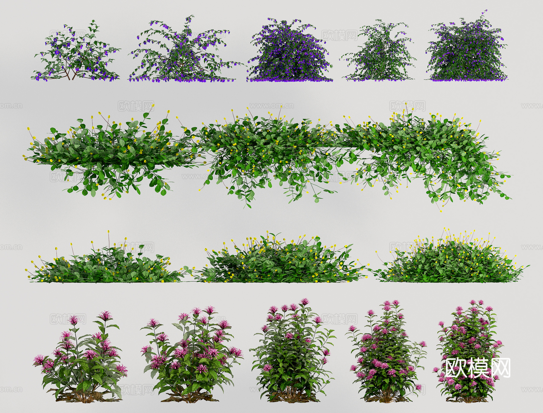 植物花草3d模型下载