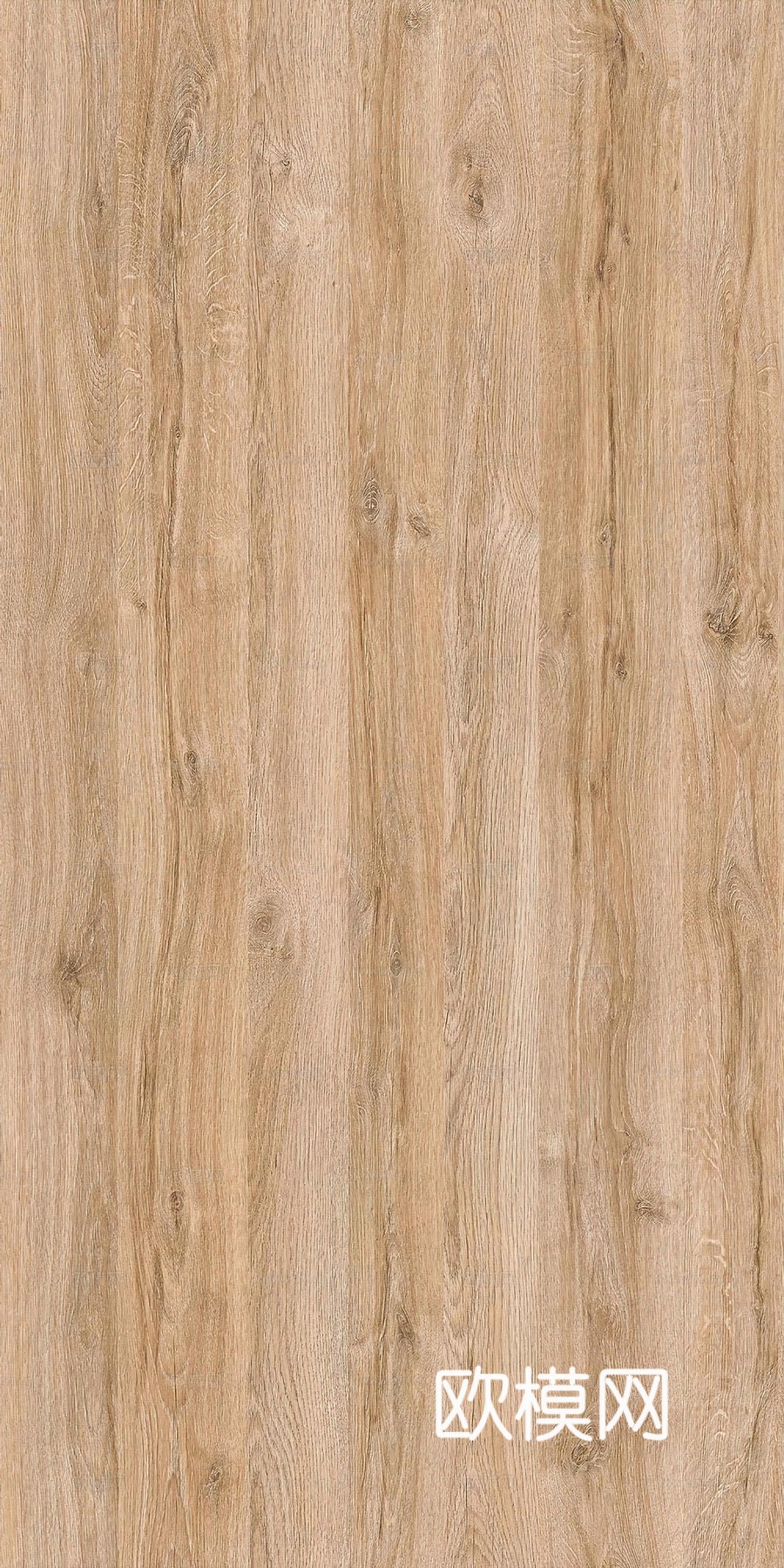 无缝橡木旧木纹