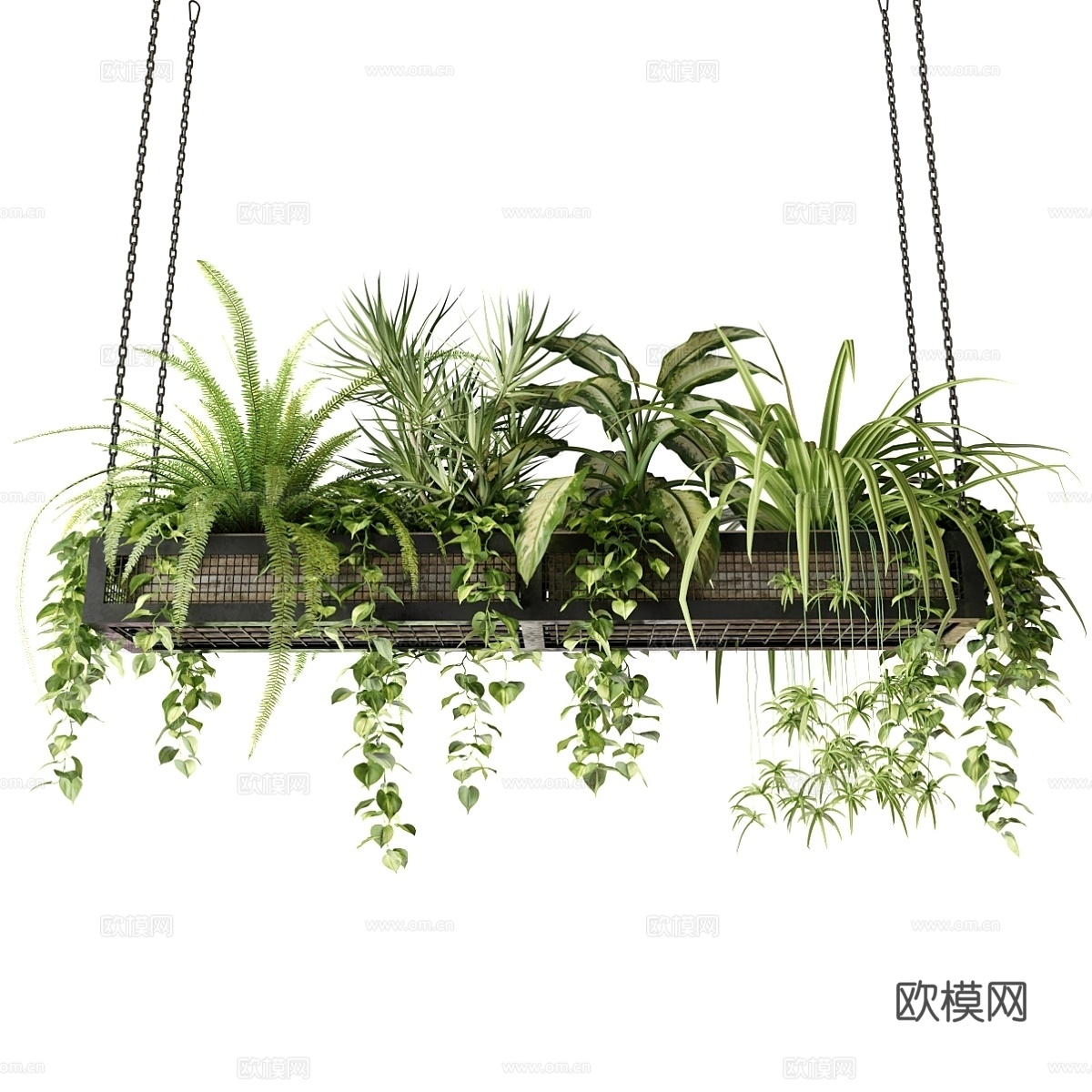 悬挂式植物网 室内植物3d模型
