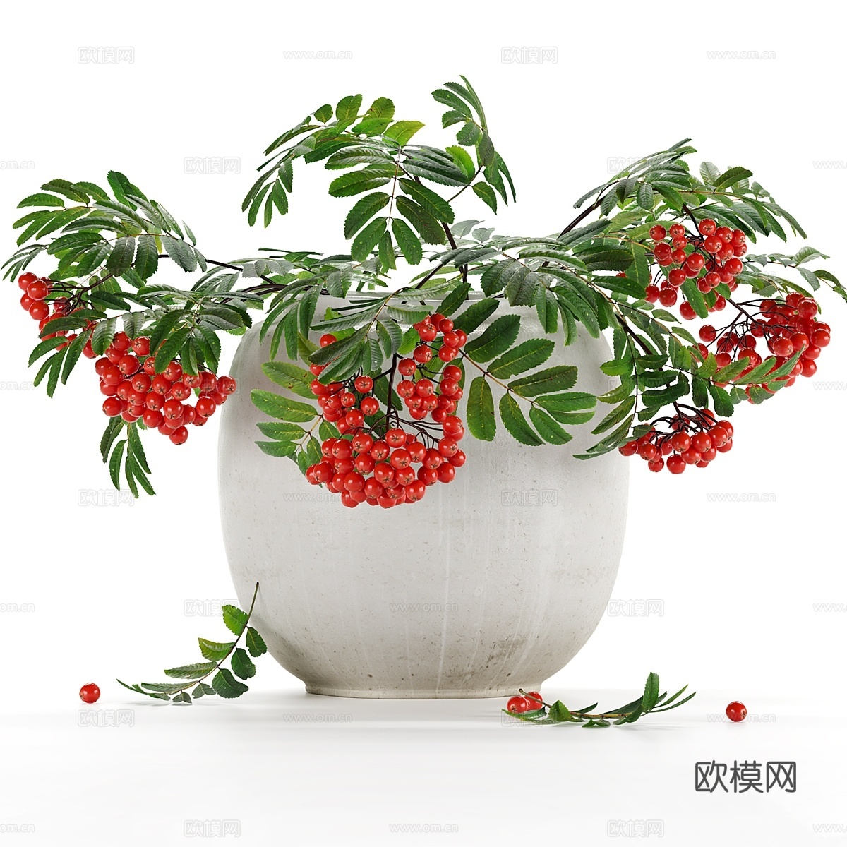 山楂花束3d模型