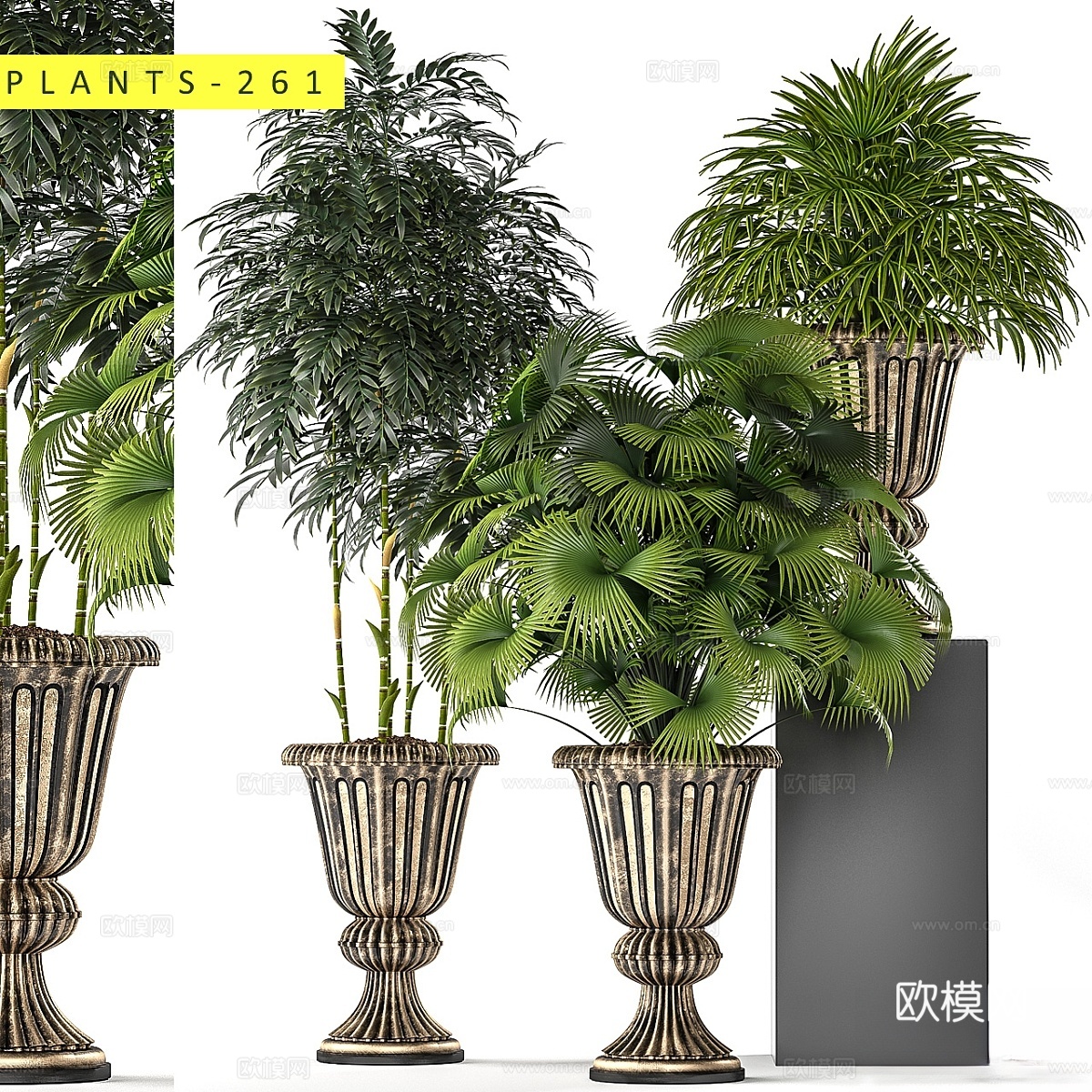 植物 2613d模型下载