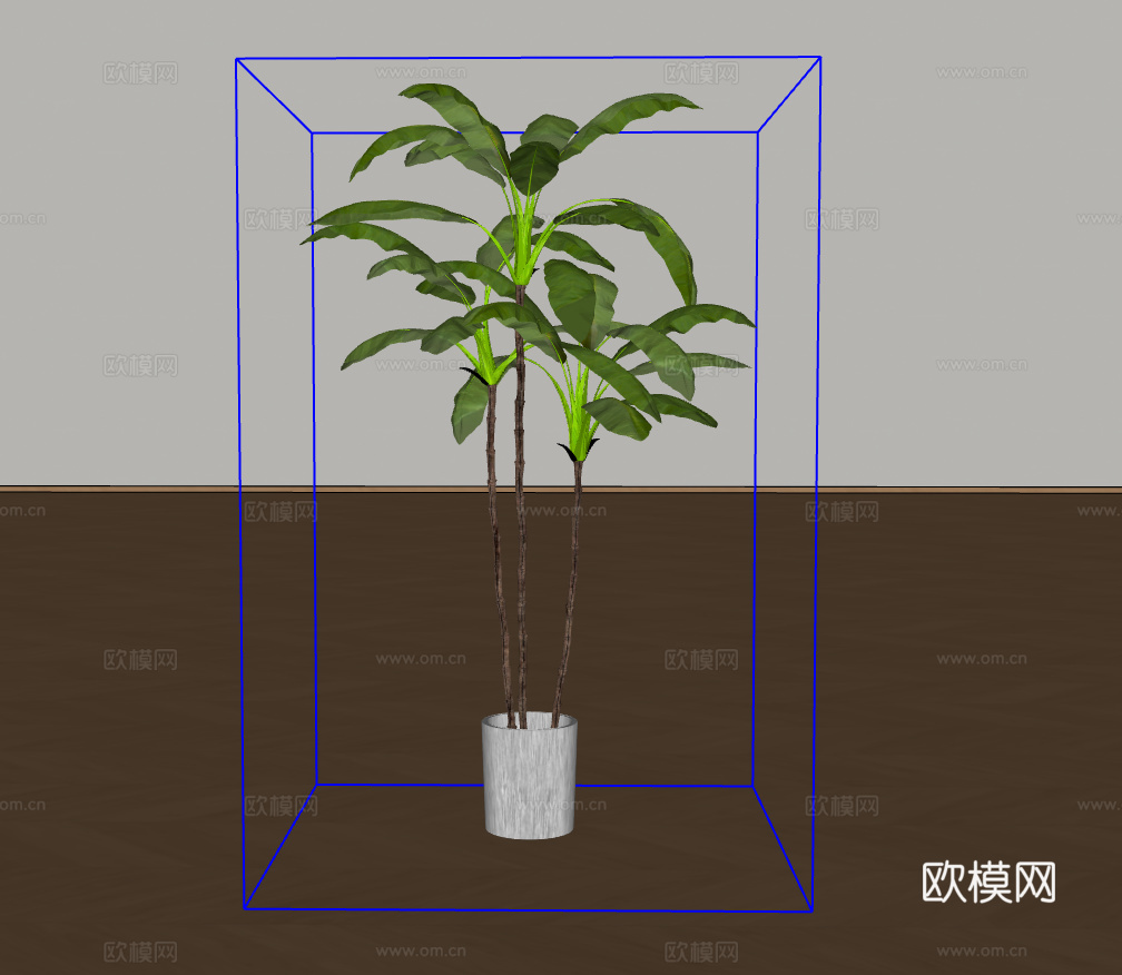 大绿植su模型