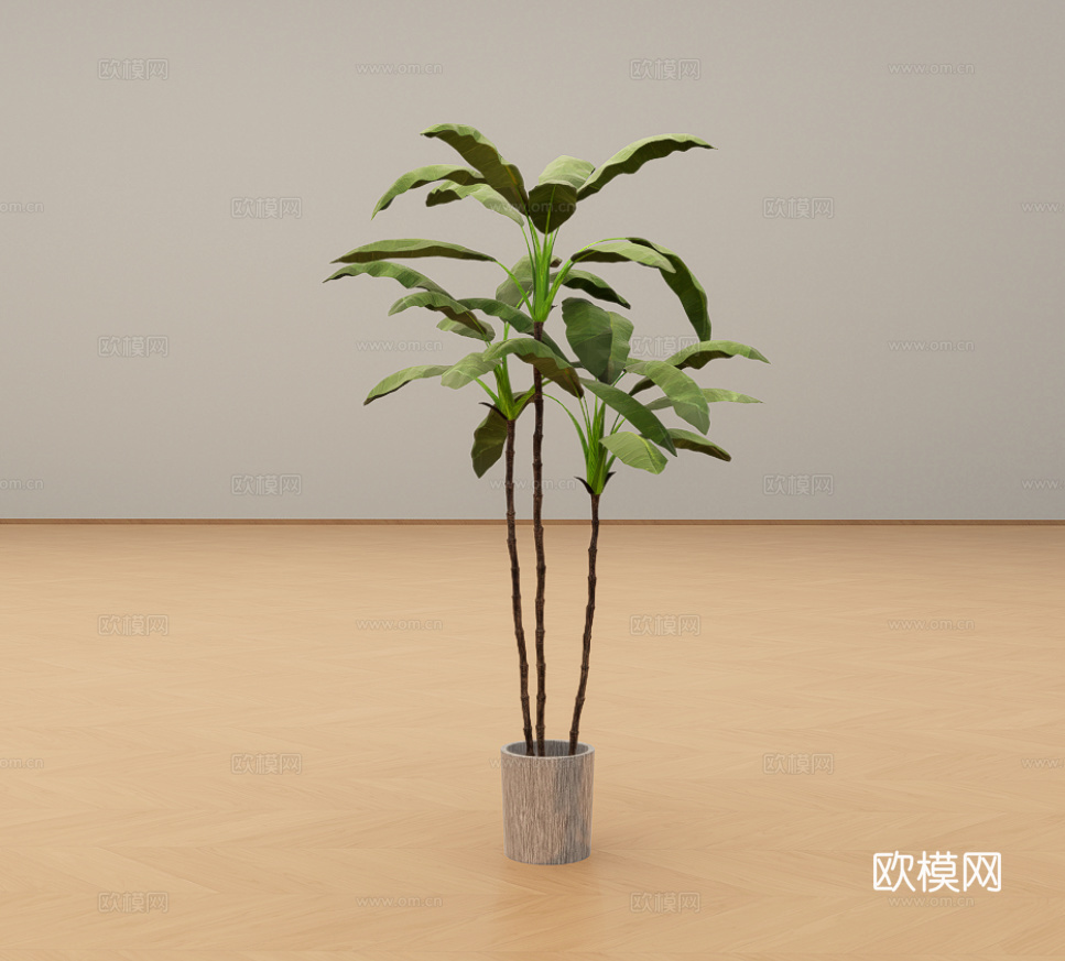 大绿植su模型