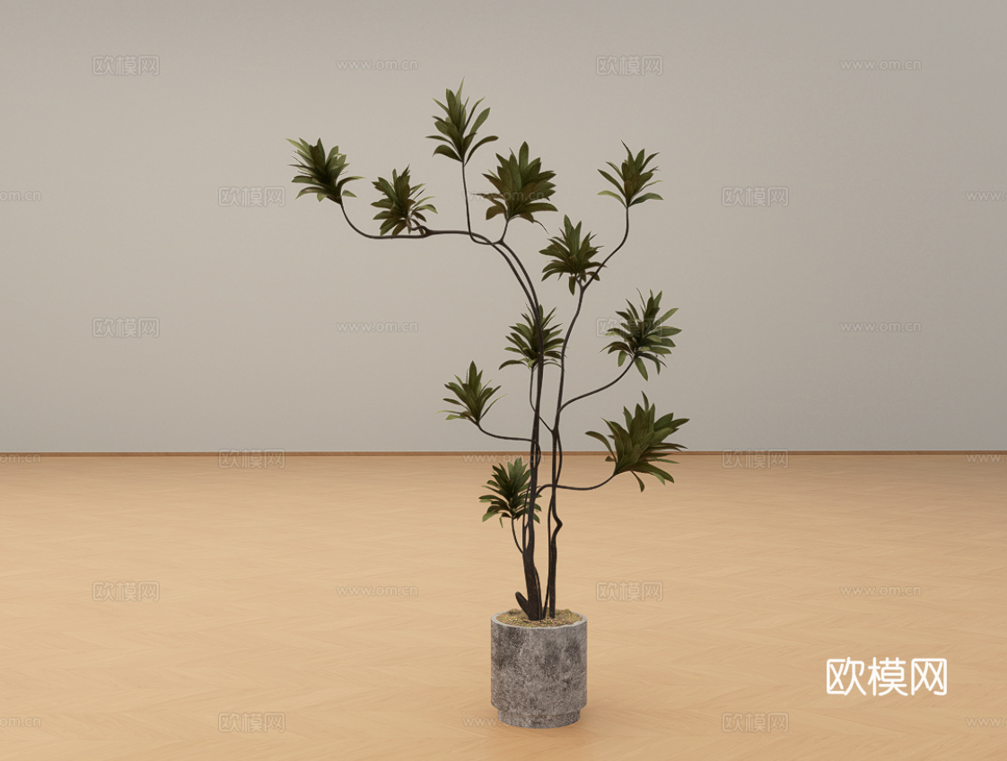 盆栽绿植su模型