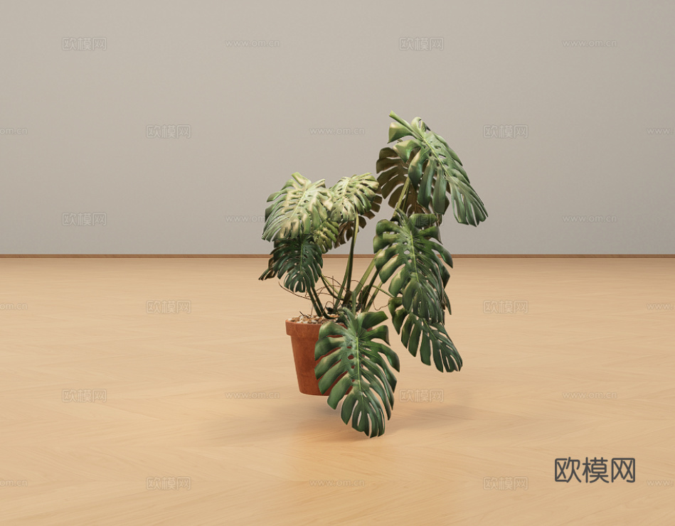 花盆绿植su模型