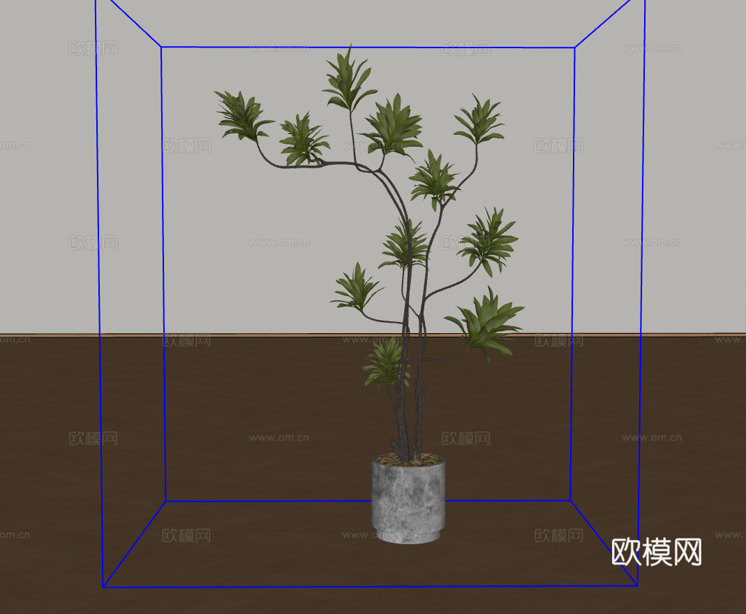 盆栽绿植su模型